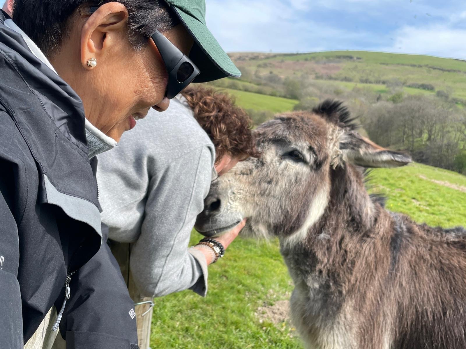  a lady kissing a donkey 