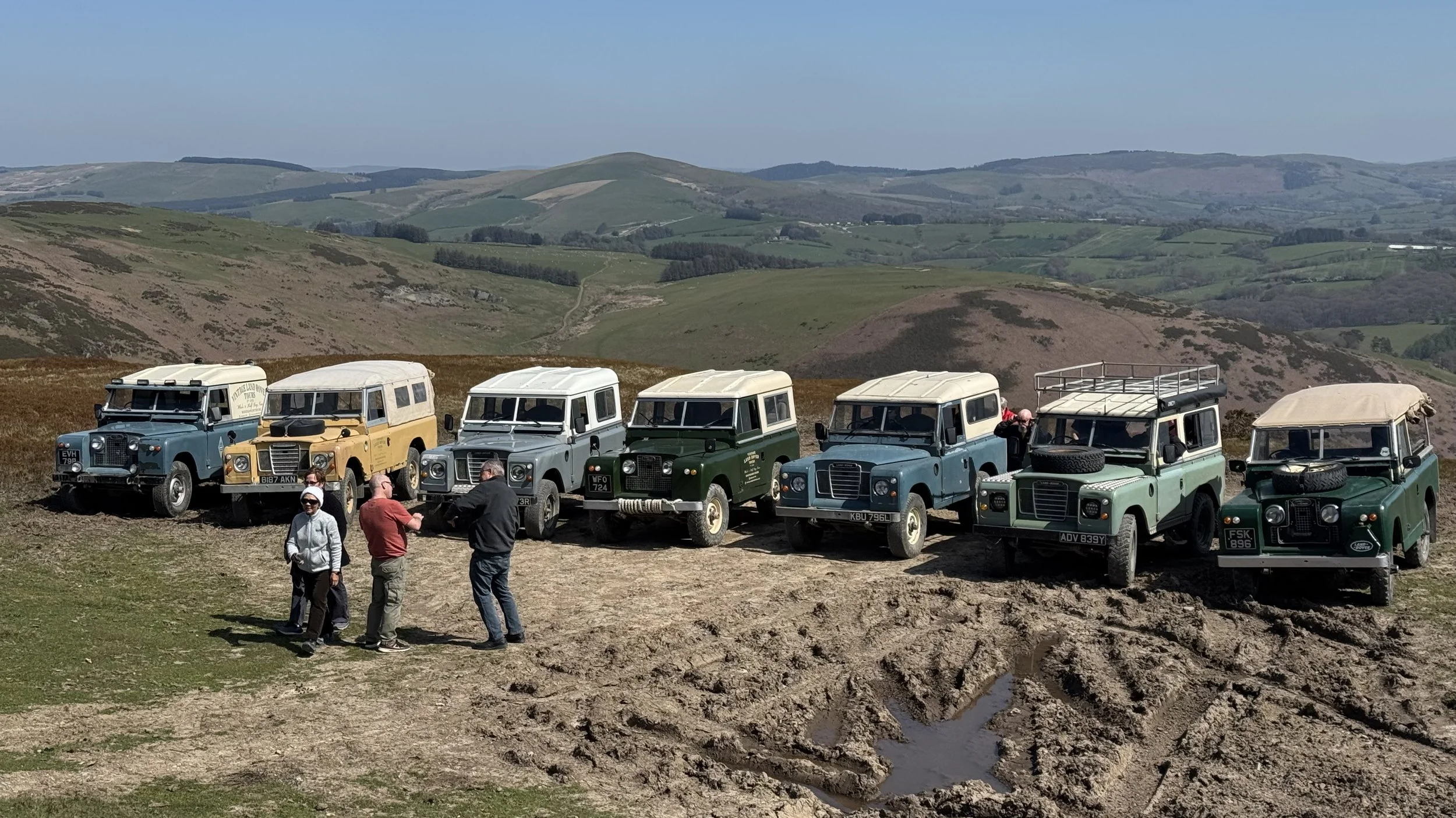  a scneic shot of a row of classic land rovers 
