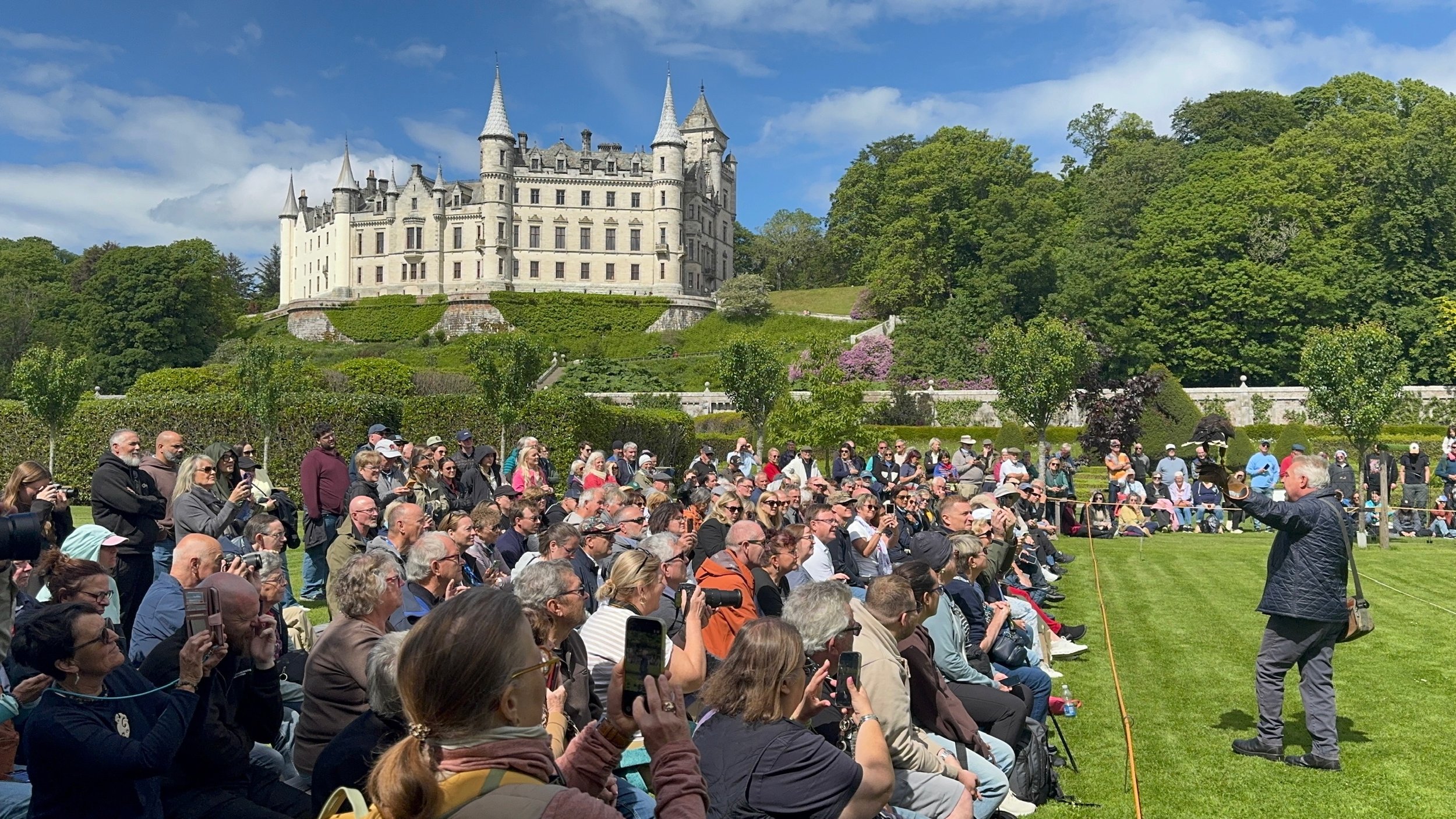 falconry display with croawd sat in the gardnes of dunrobin castle watching the falconer with his bird