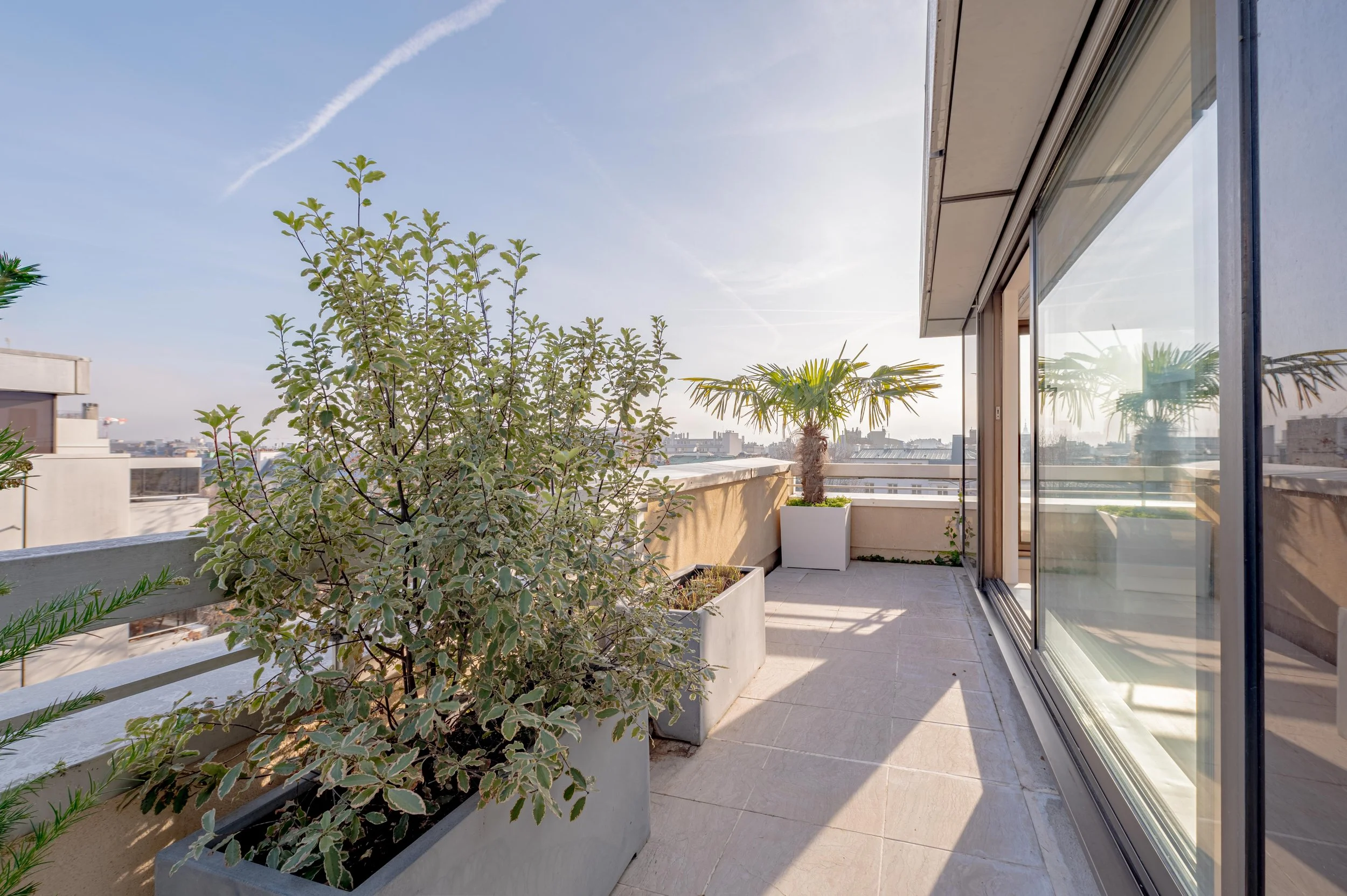Terrasse avec plantes en pot, vue sur la ville, ensoleillée, avec fenêtres en verre.