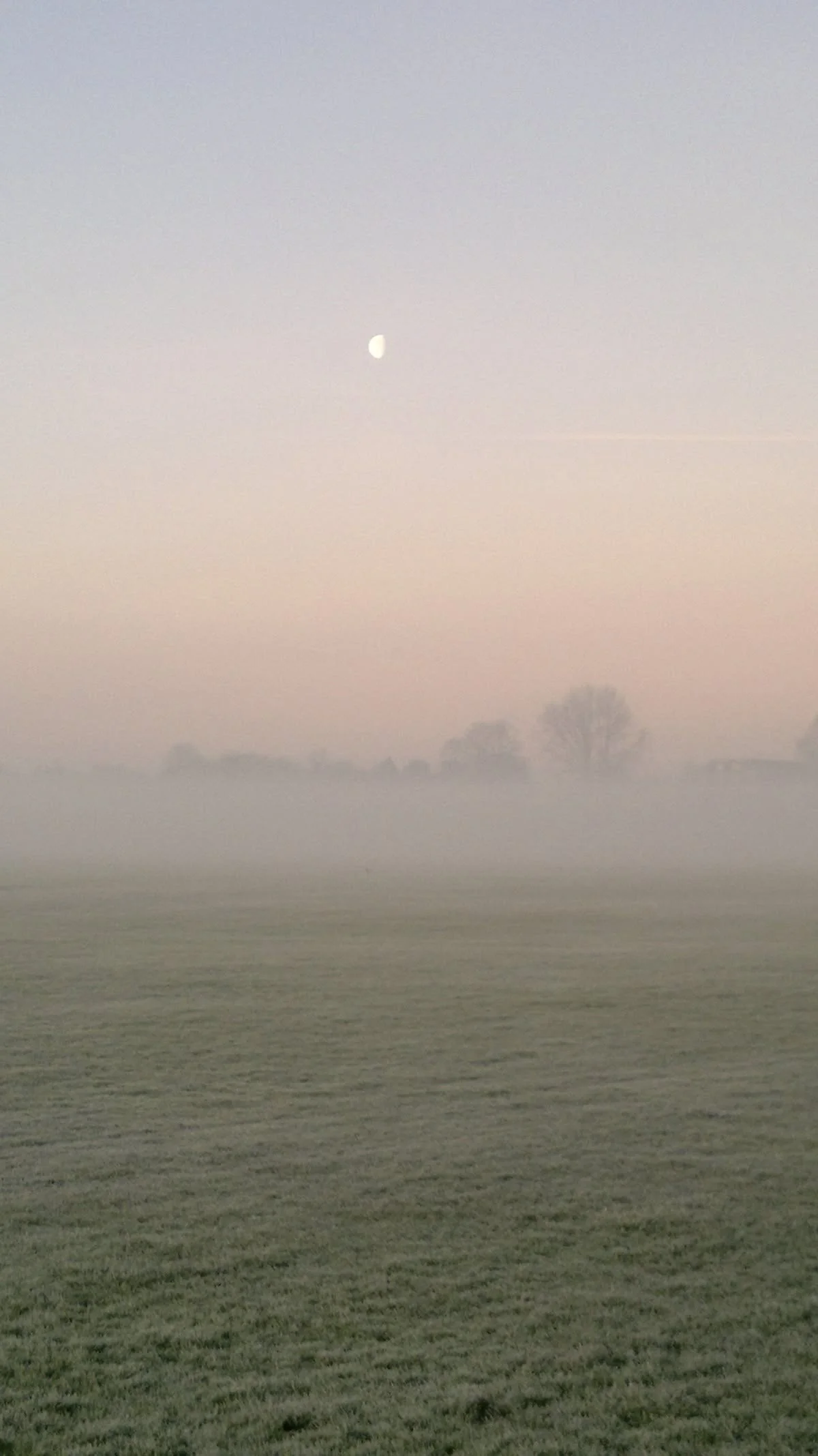 Early morning view of a foggy body of water with a faint moon in the sky and a silhouette of trees in the distance.