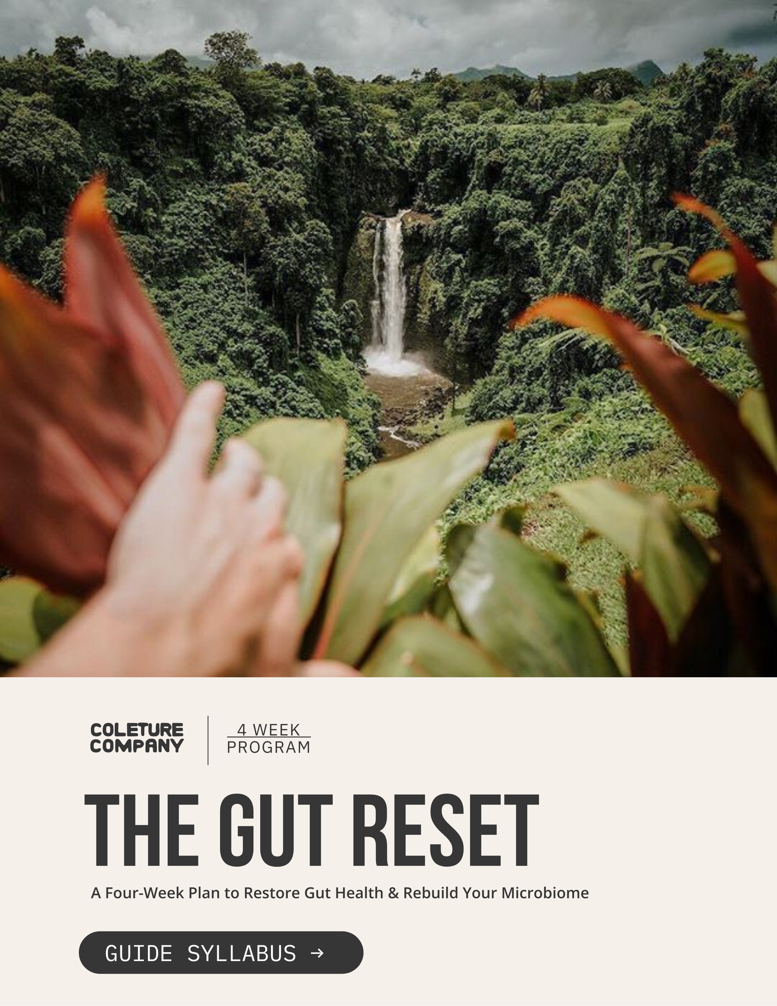4-week Gut Reset
