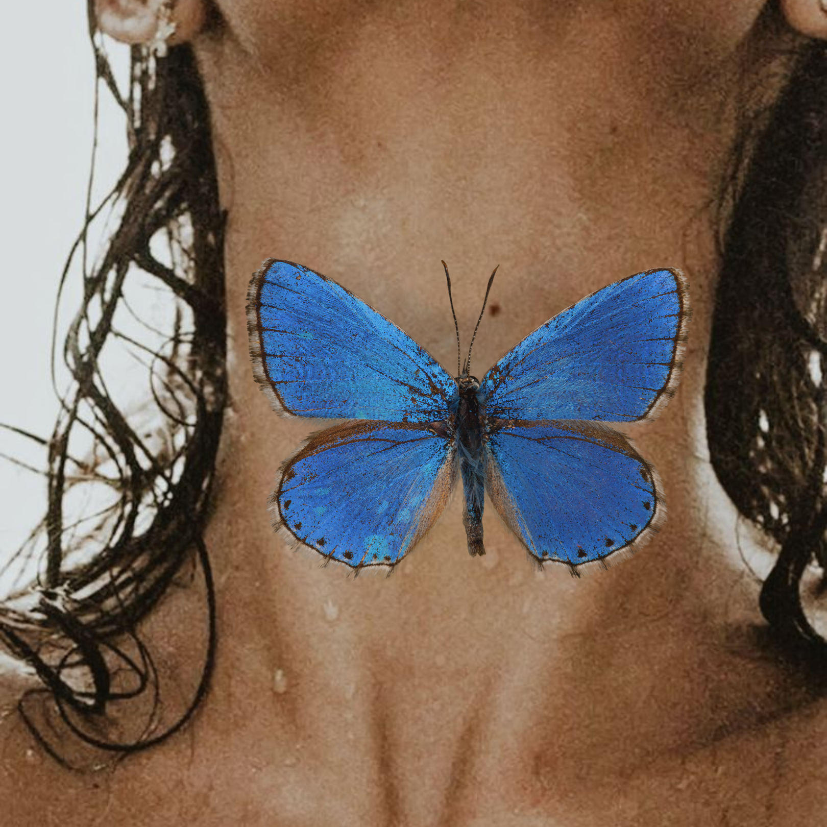 No. 18 Gut x Thyroid