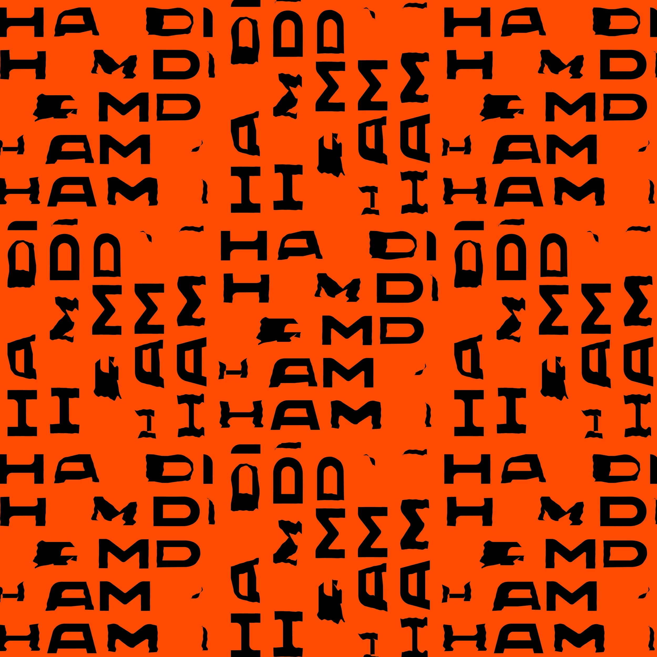 0. Hamdi_Loop_1_4K.00_00_02_11.Still005.jpg