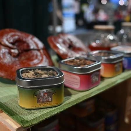 New York Mycological Society's Fungus Festival