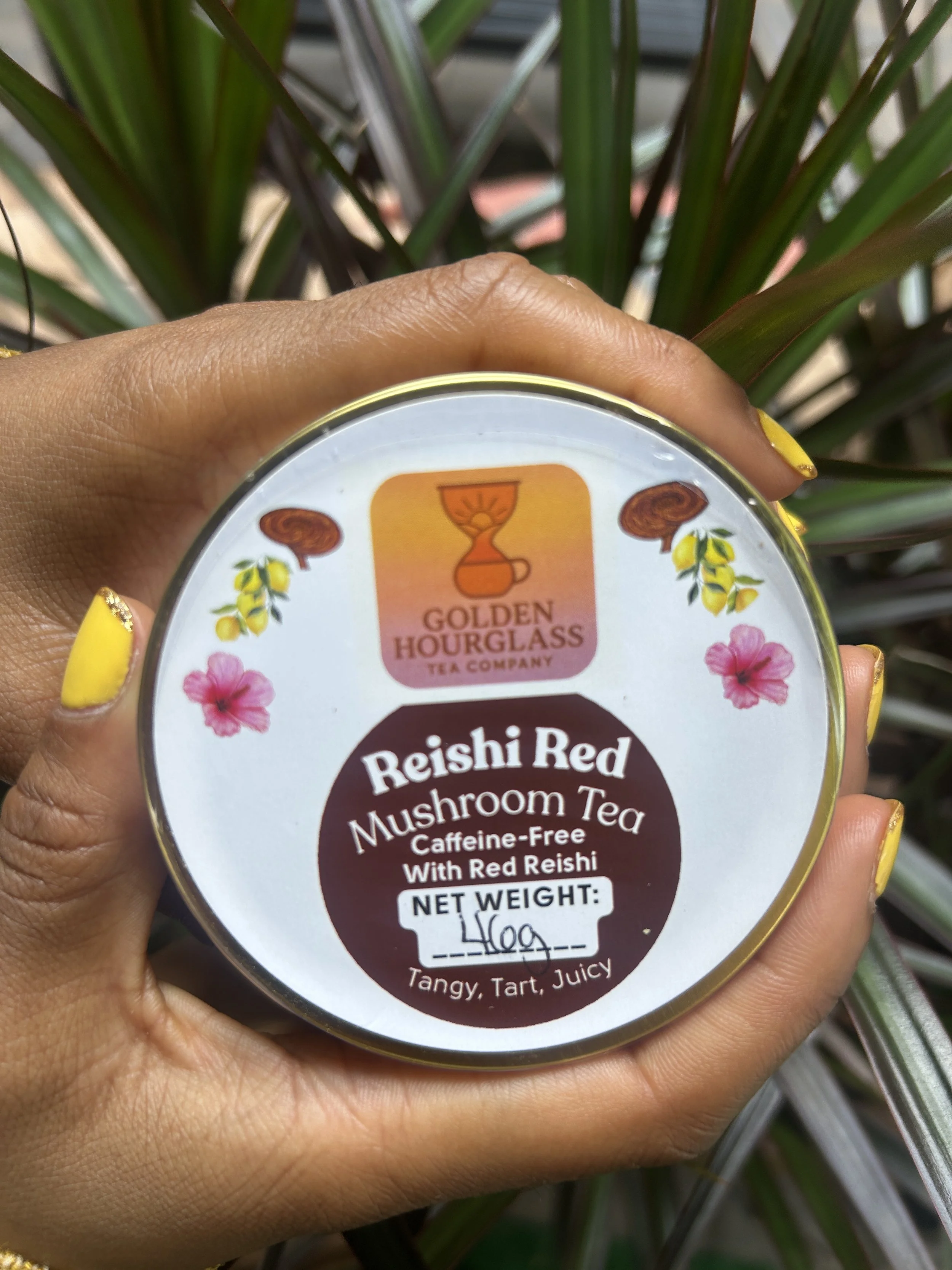 Reishi Red
