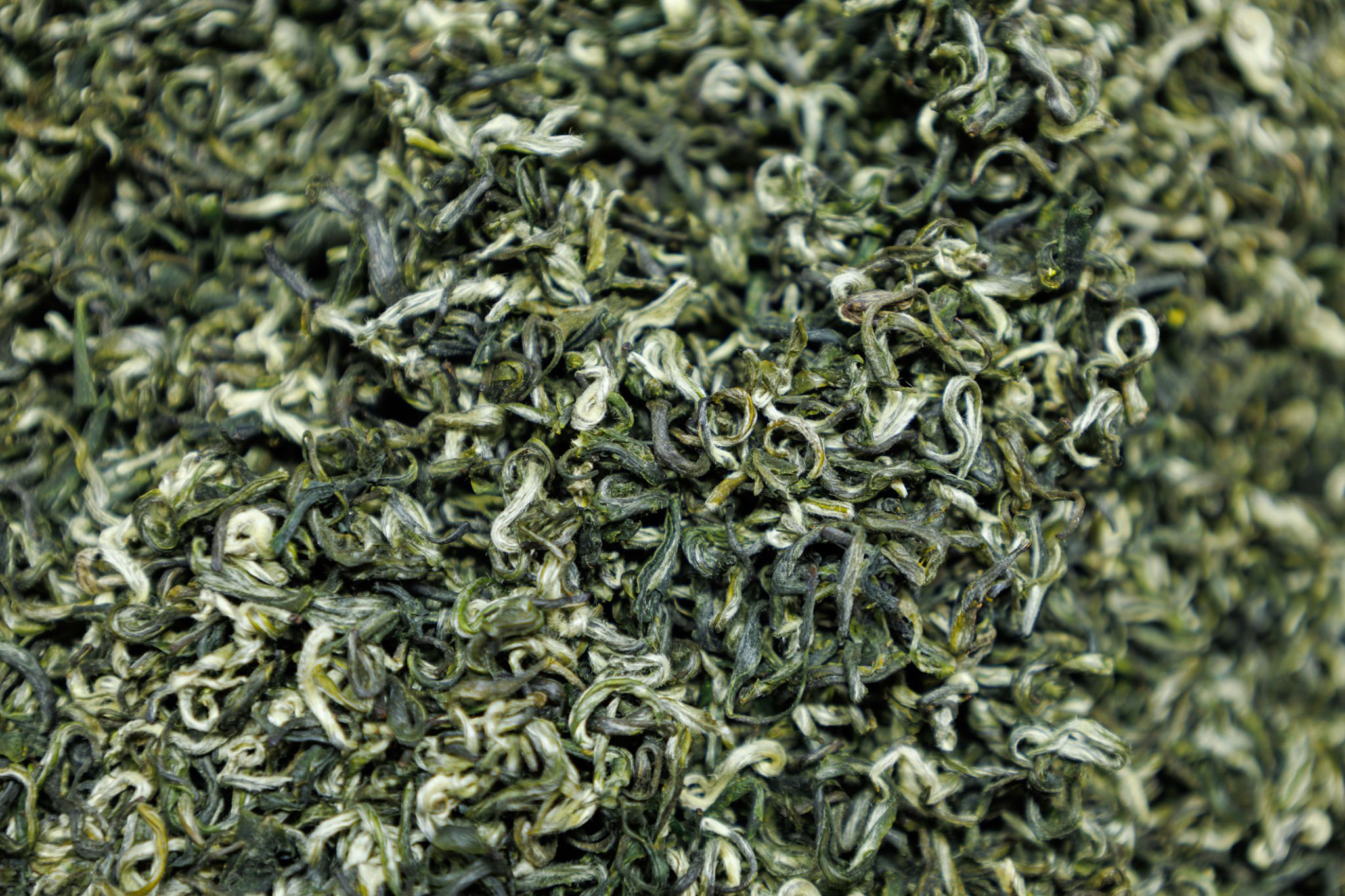 碧螺春綠茶 Bi Luo Chun