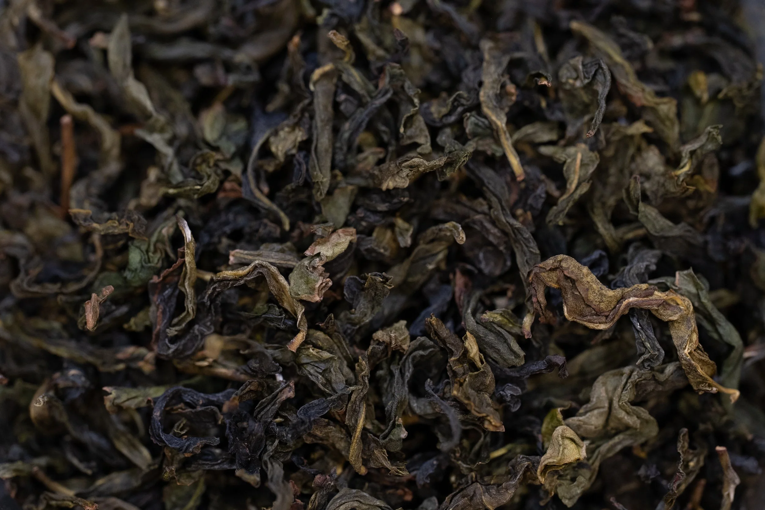 Close-up of dried, twisted, and curled tea leaves.