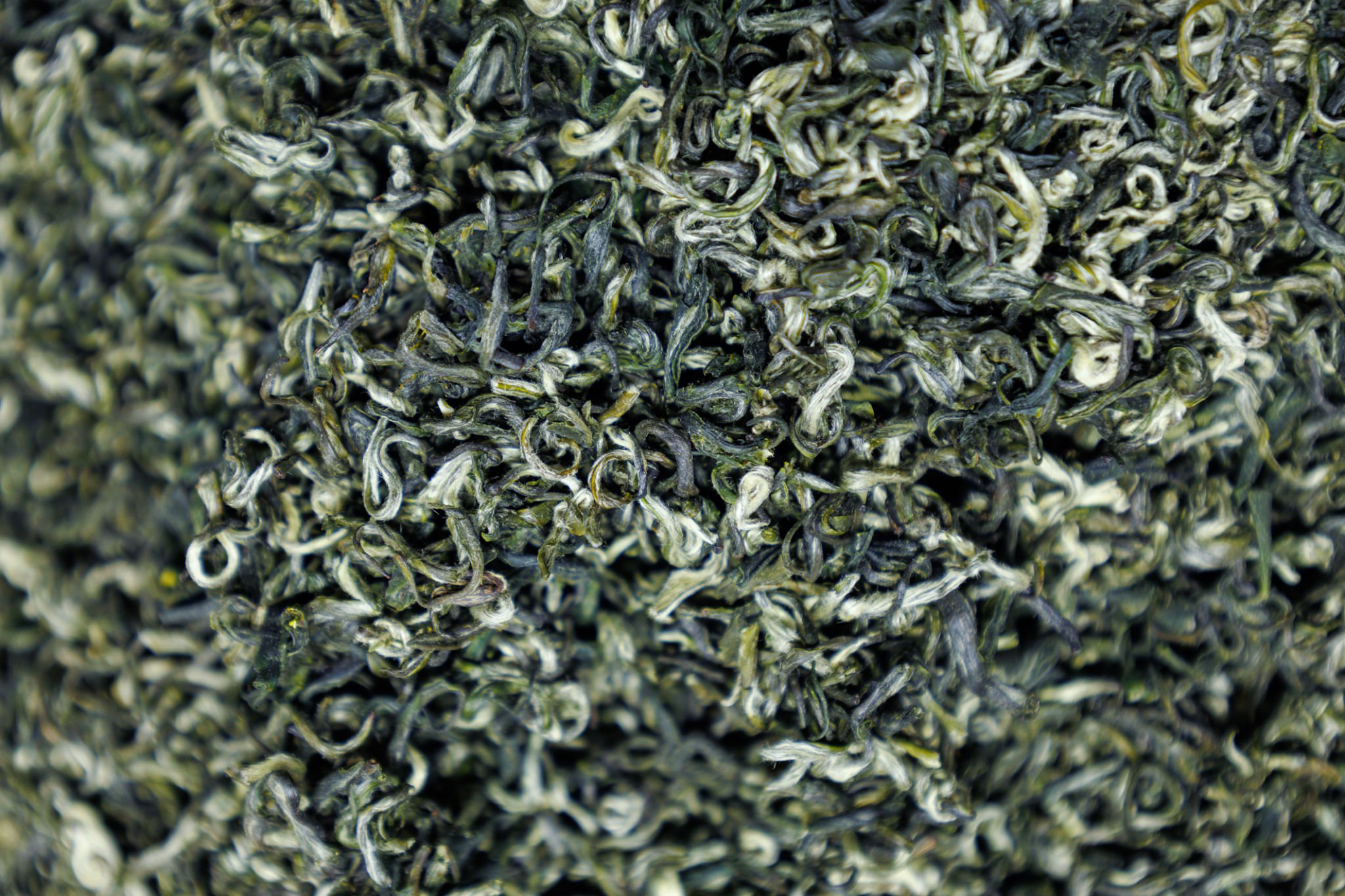 龍井茶 Long Jing