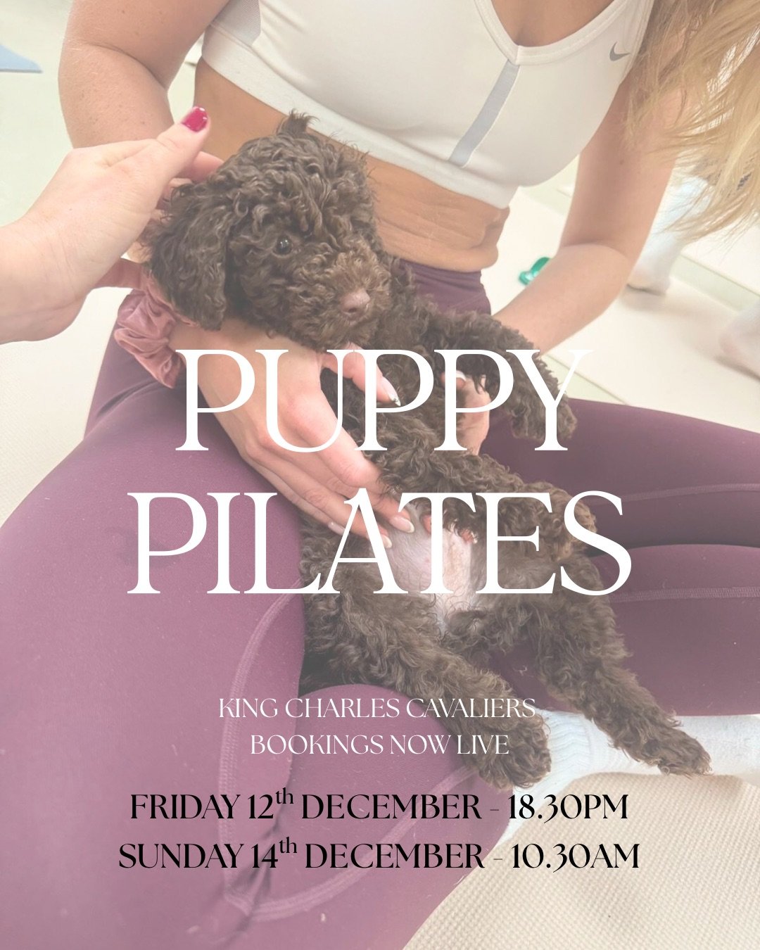 Puppy Pilates 
