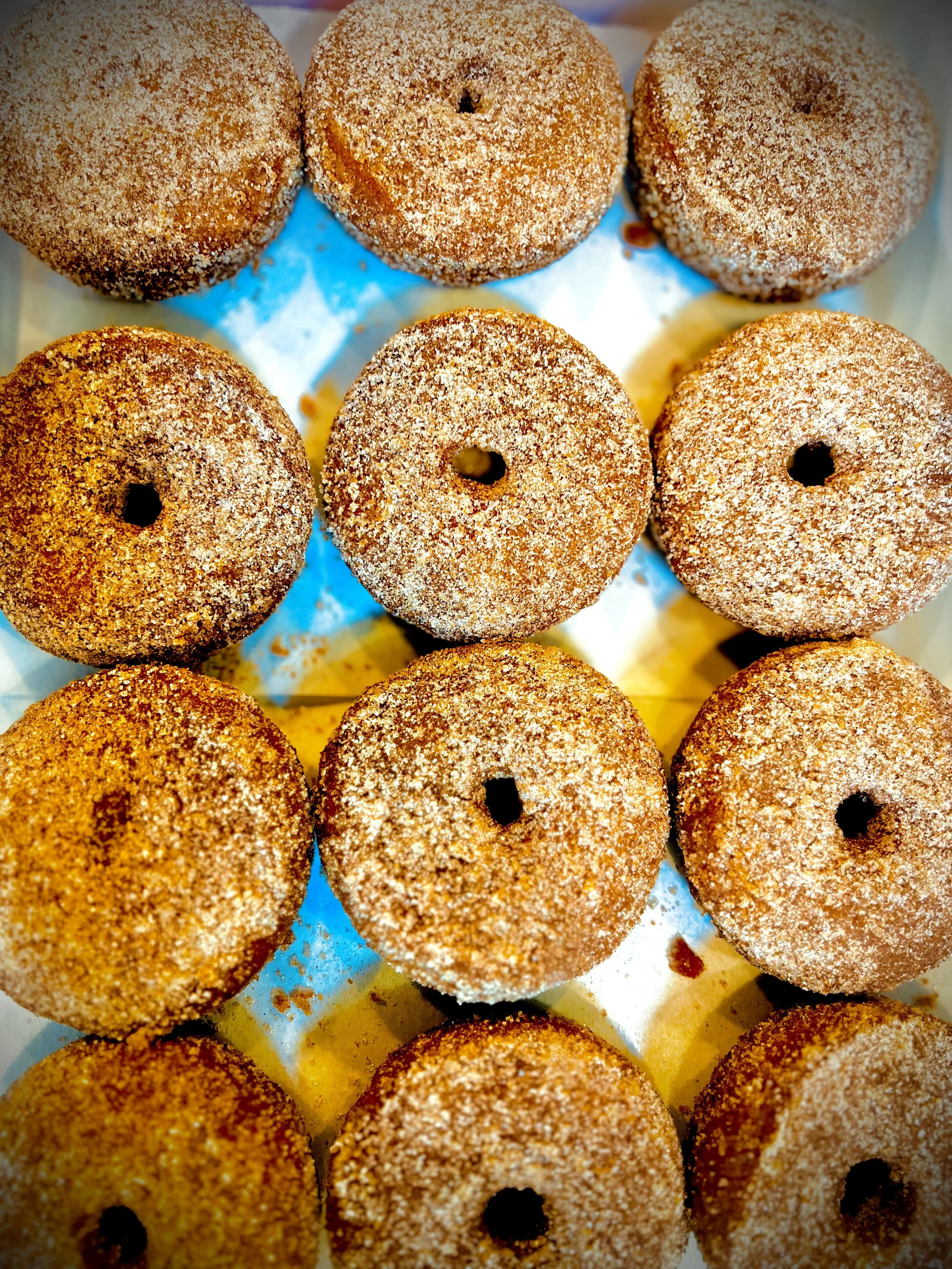 ciderdonuts.jpeg