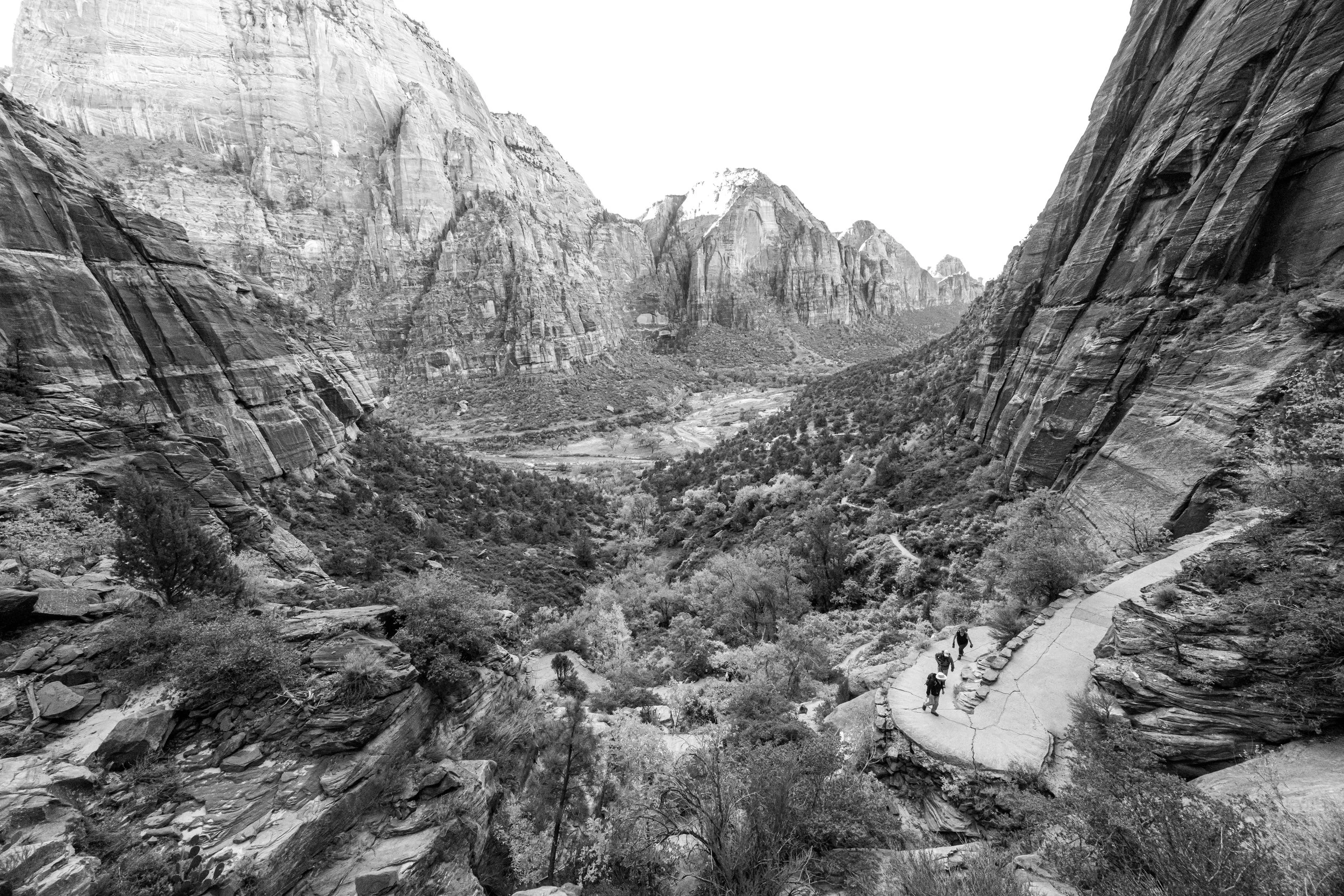 20251023-New_G5A0692 (95).jpg