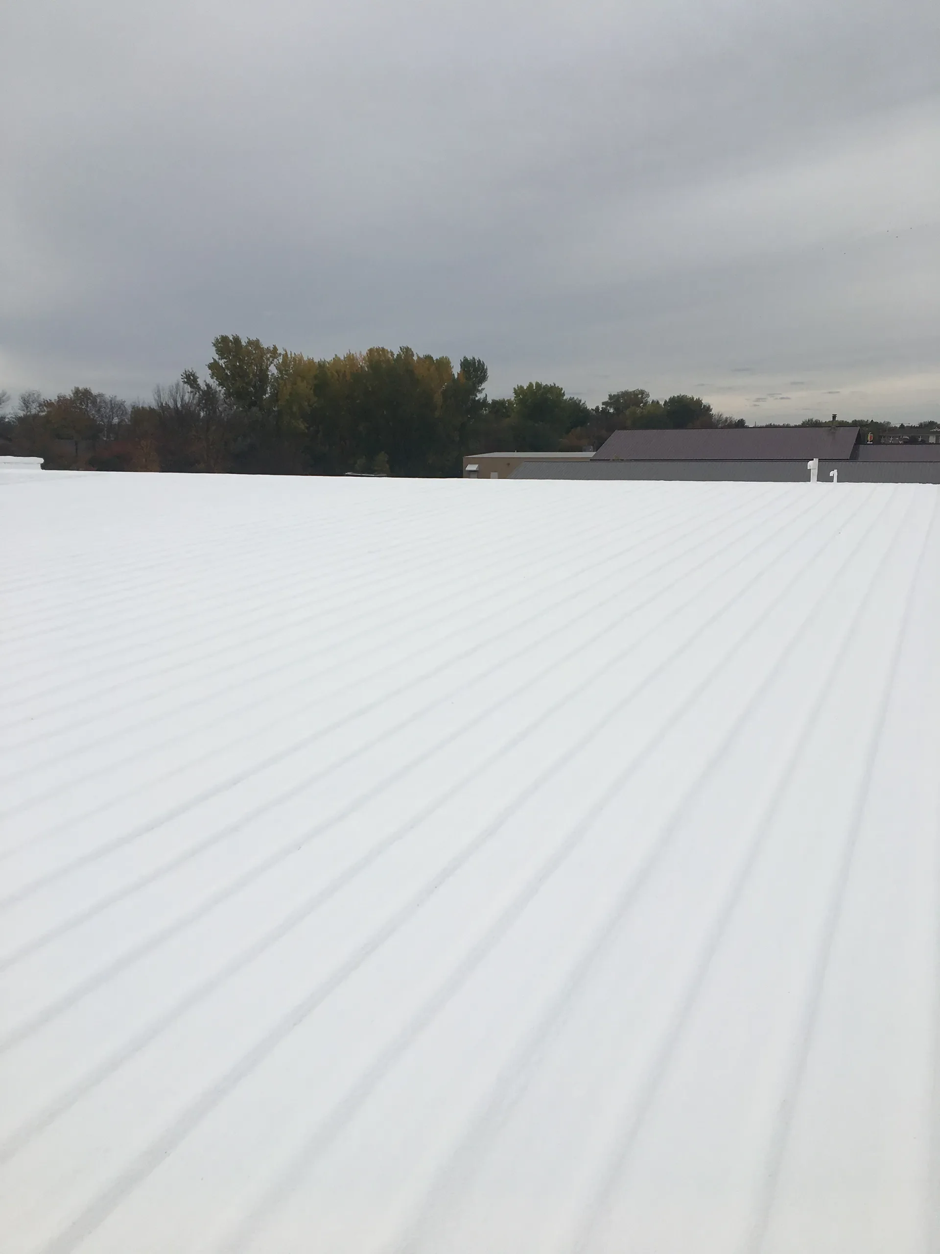 Flat Metal Roof Restoration