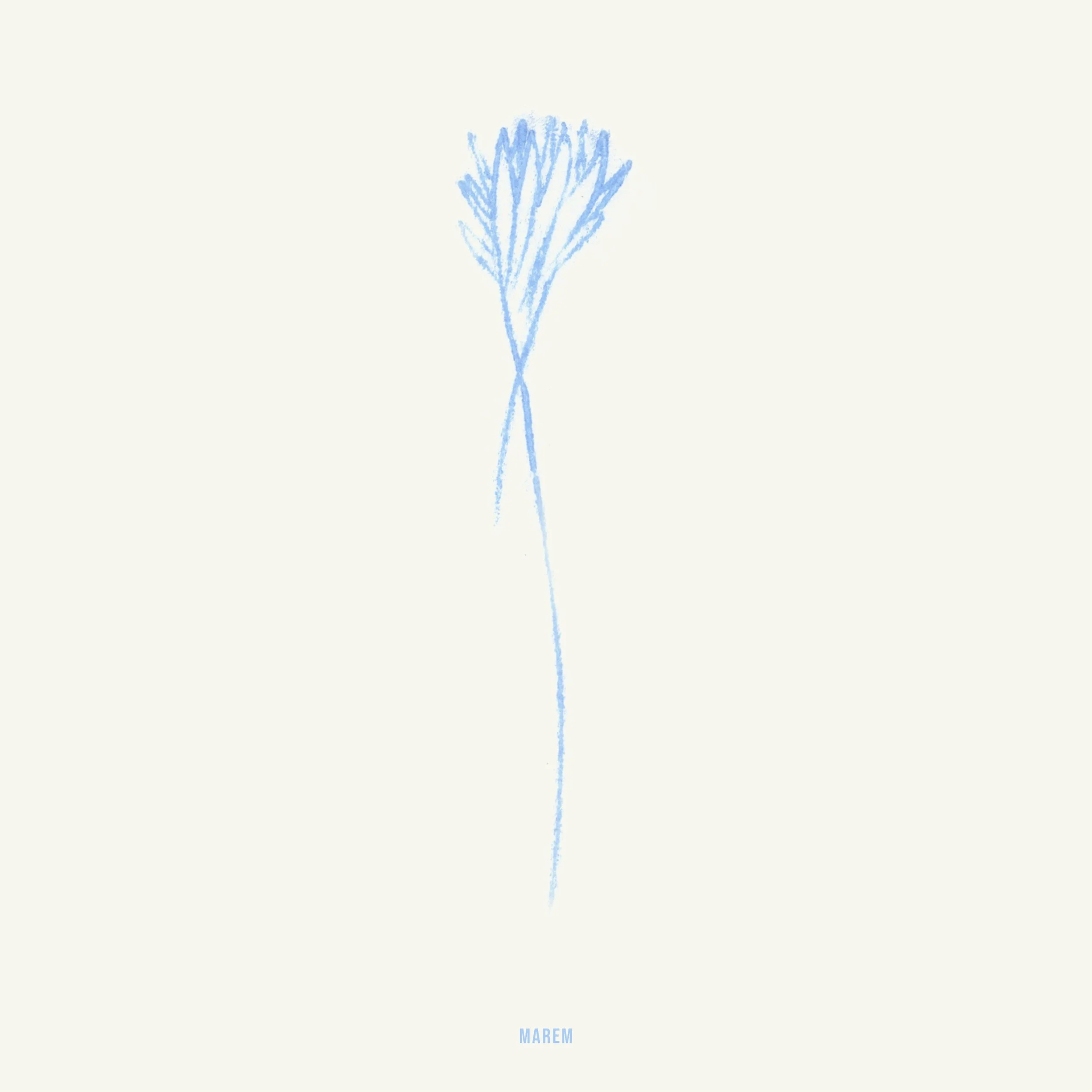 no. 004