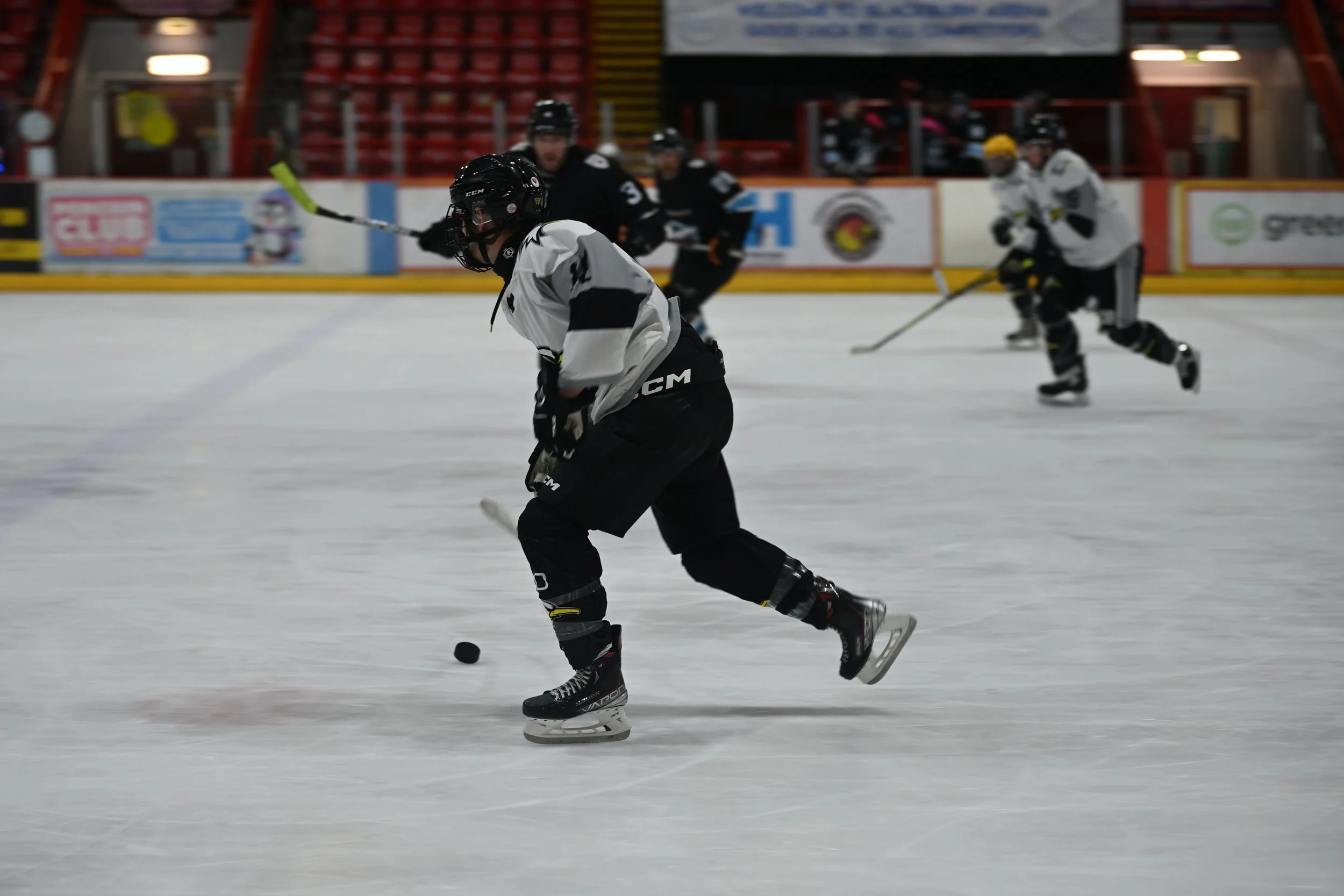 Wyre Seagulls vs Whitley Bay Sharks