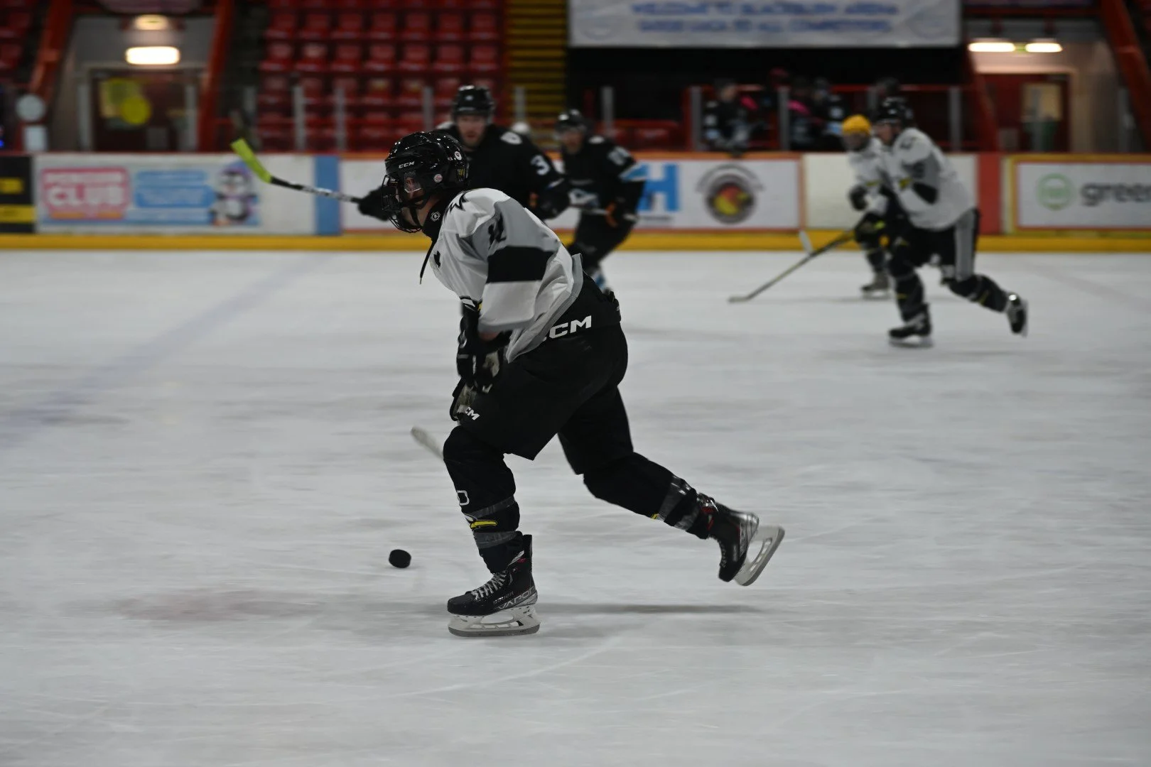 Wyre Seagulls vs Whitley Bay Sharks