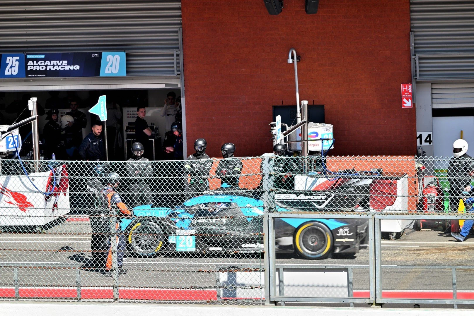 2024-08-24-145334 (Large).JPG