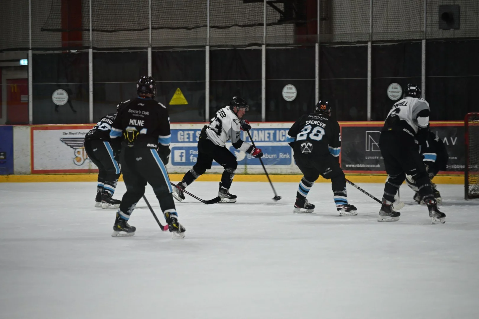 2025-05-18-175529 (Large).JPG