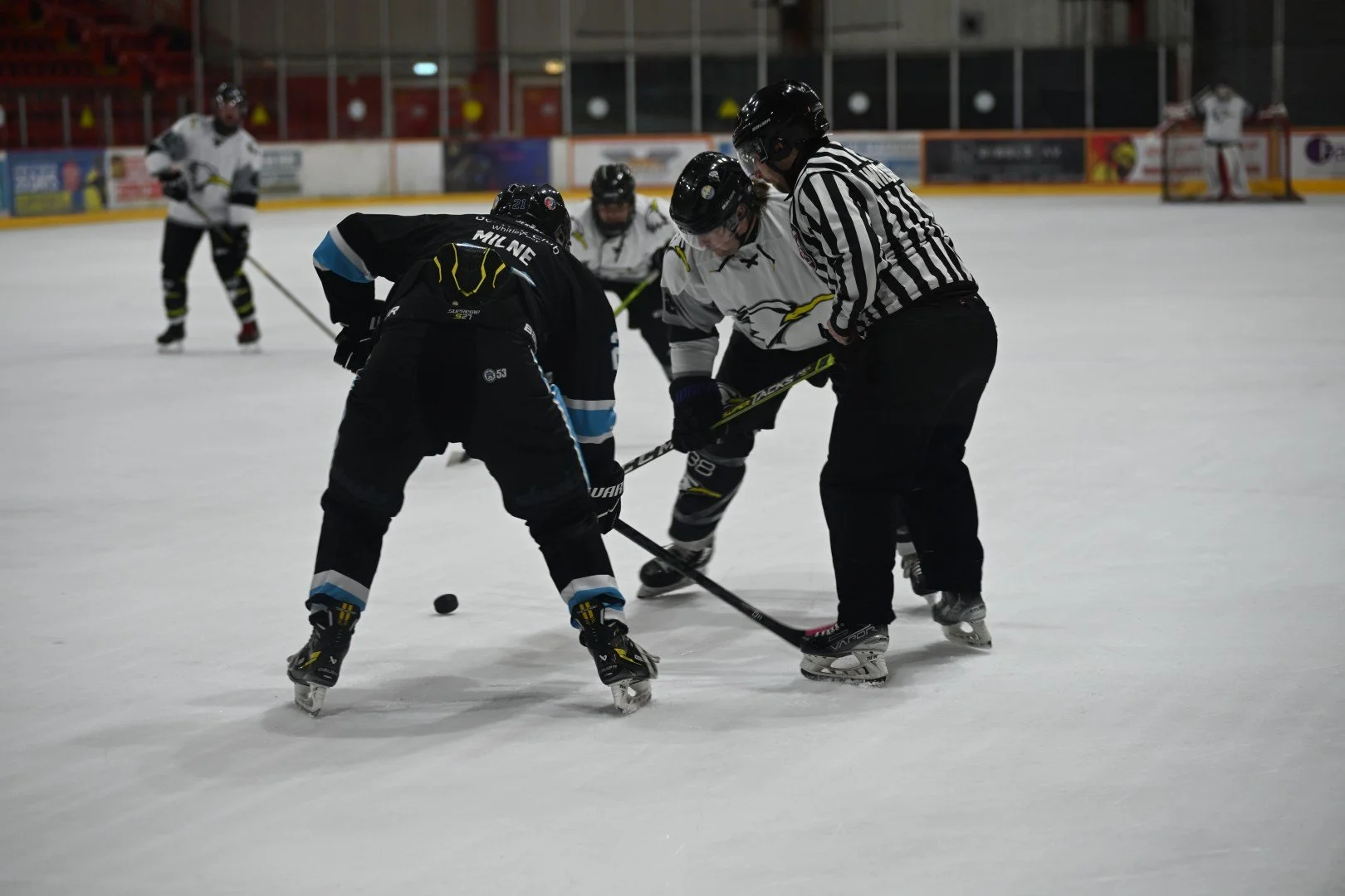 2025-05-18-171904 (Large).JPG