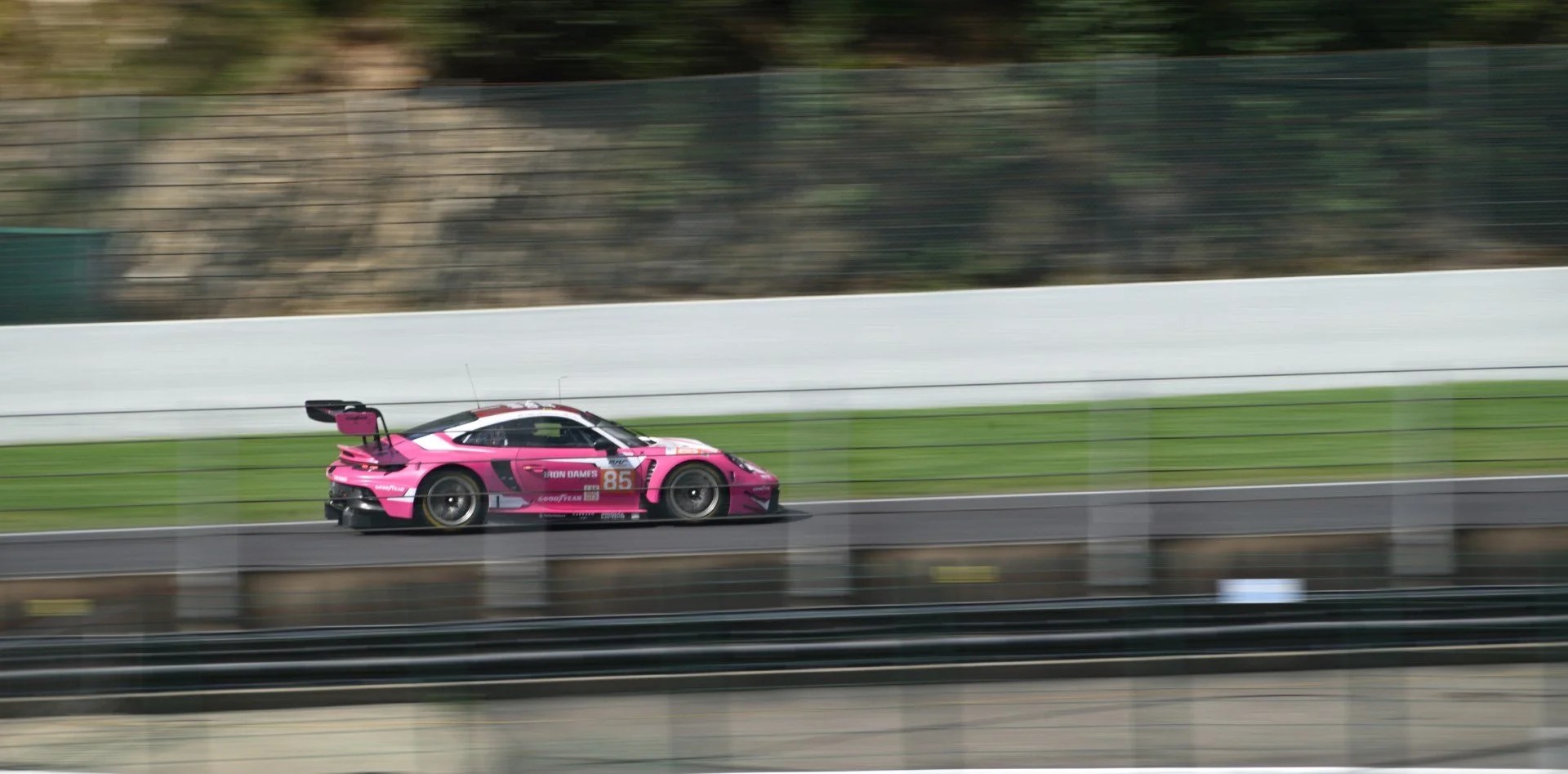 2024-08-25-113948 (Large).JPG