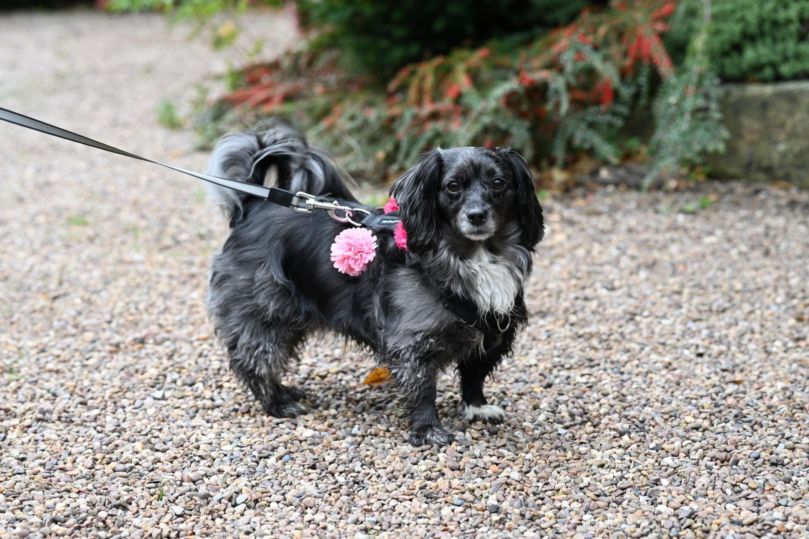 2025-10-10-110324 (Large).JPG