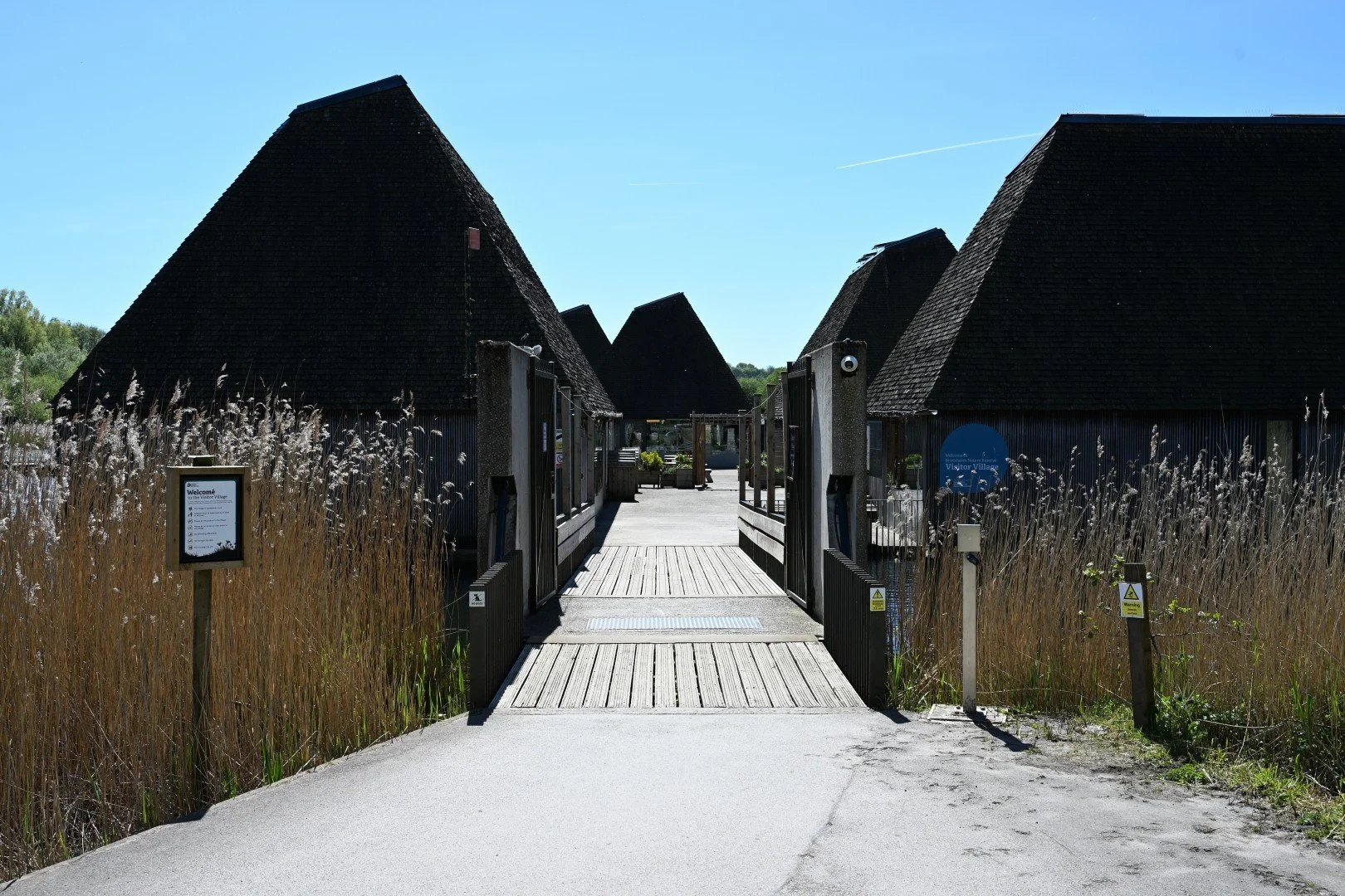 2026-04-29-130342.JPG