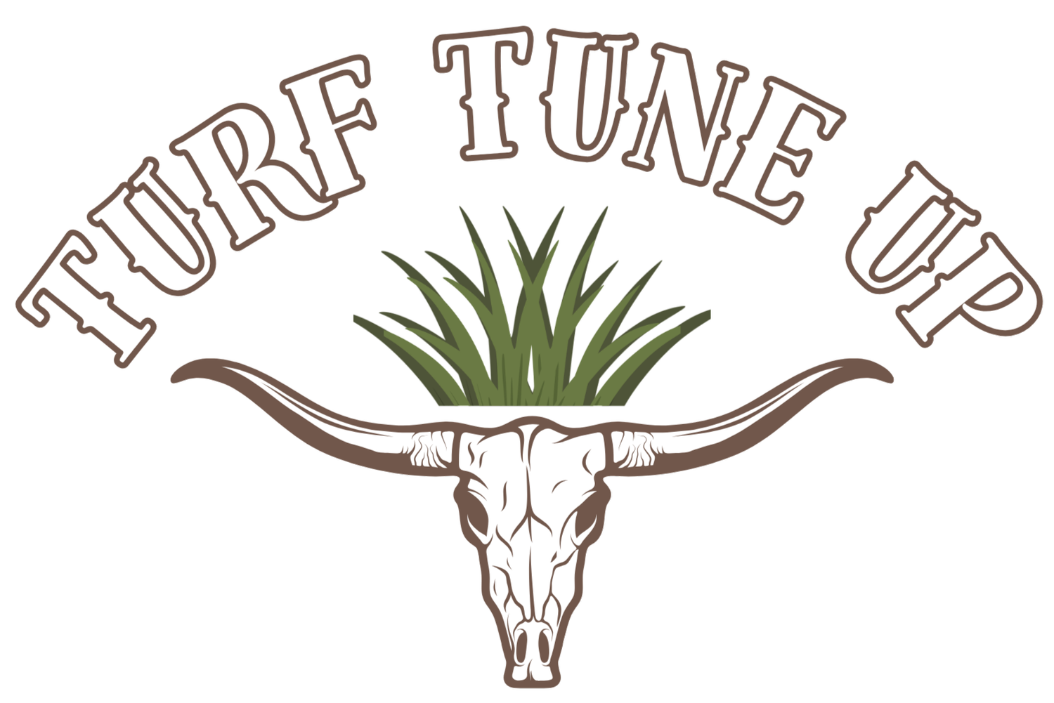 Turf Tune Up