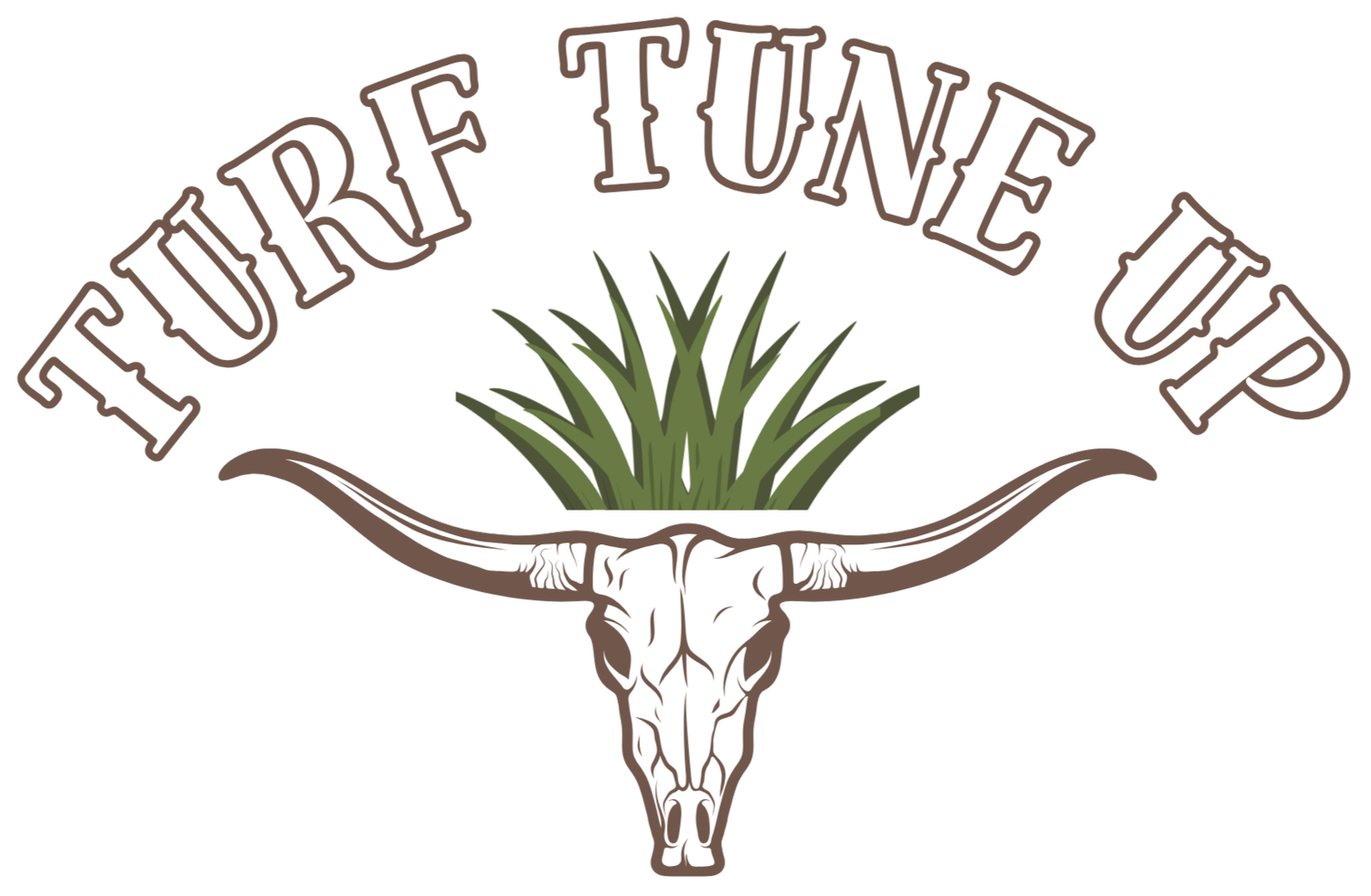 Turf Tune Up