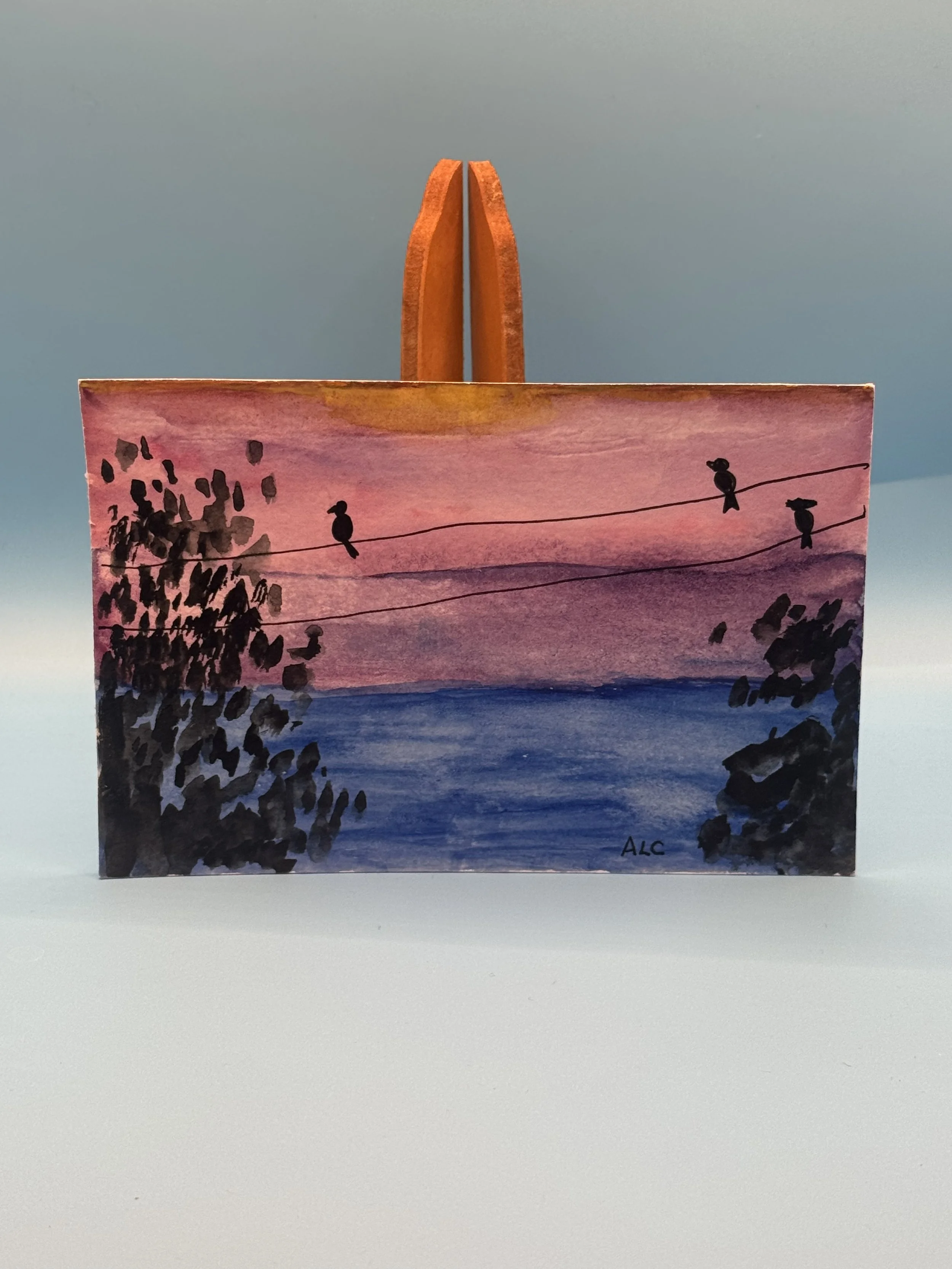 Birds on a Wire at Sunset