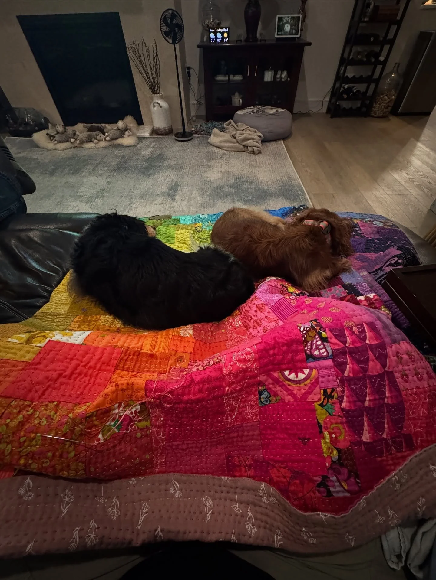 The best part of my day. Stitching with my two lovies. 

Oscar would like everyone to note the sheepskin in front of the fireplace with his fortress of opossums. He originally chose one on his first visit to the veterinarian. We named him Frank. He l
