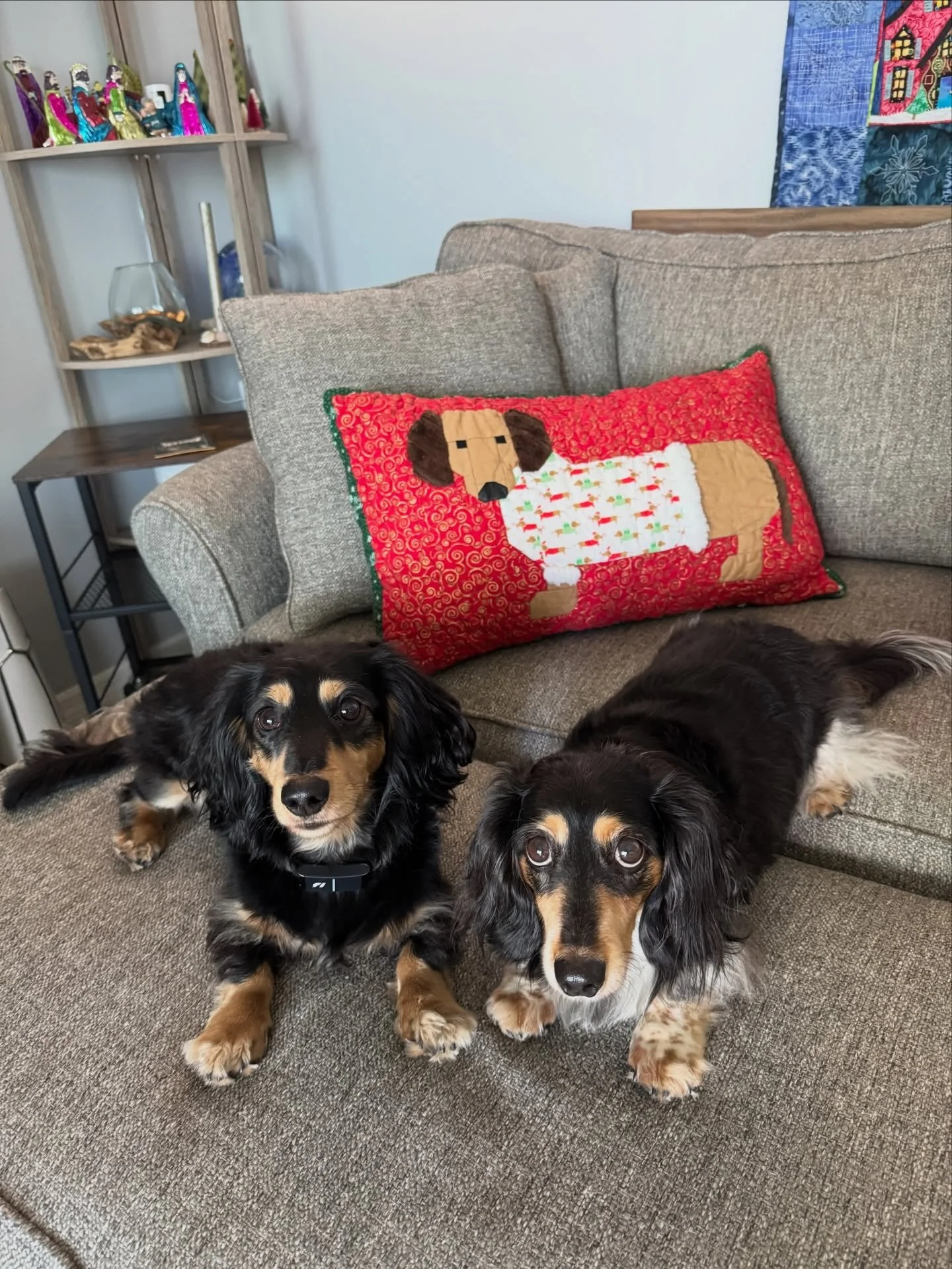 Did you ever feel like a pattern was written just for you? If you are a fellow wiener fan, Dogs in Sweaters by  @elizabethagh was written for us. 

Bonus points if you manage to find fabric featuring dachshunds in sweaters for the sweater fabric, and