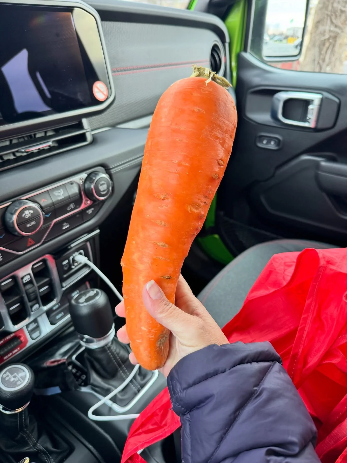 Caption this. More inappropriate is better.