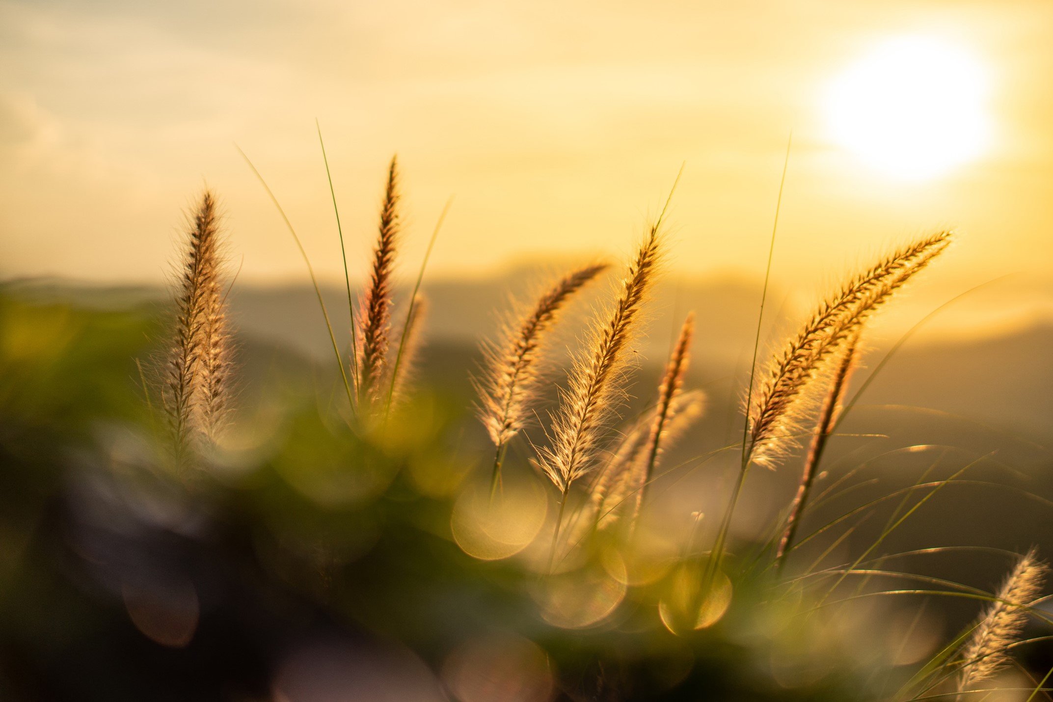 Golden Hour Package