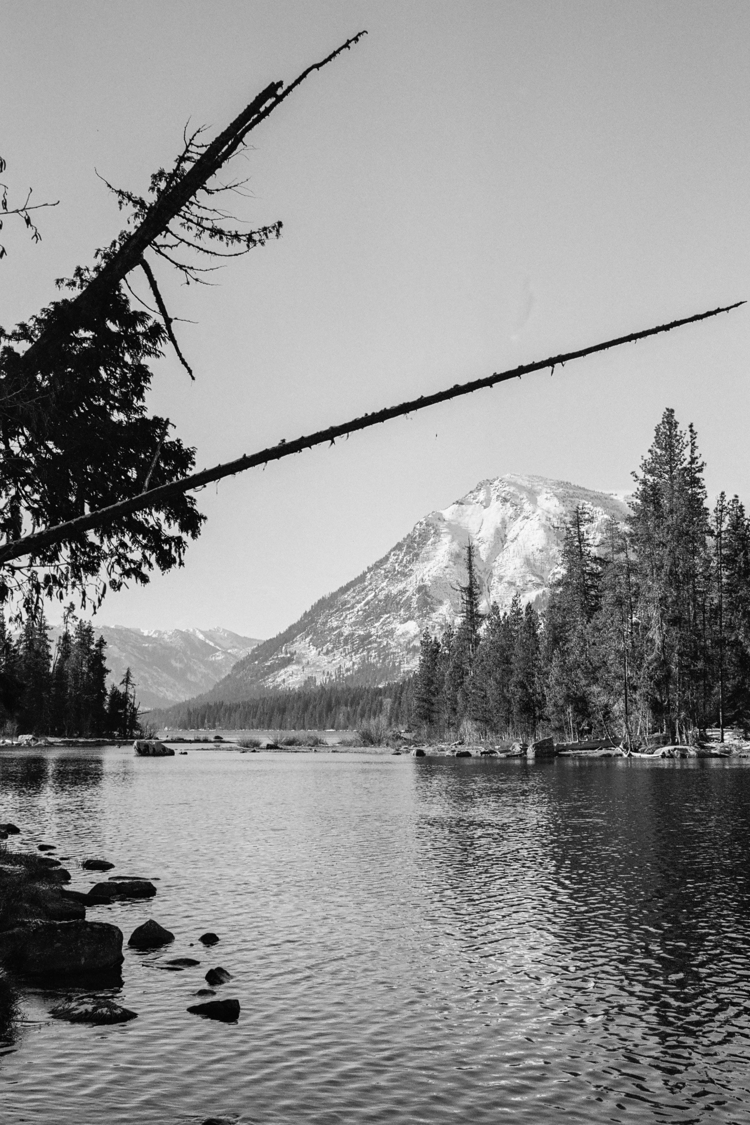 Washington-78.jpg