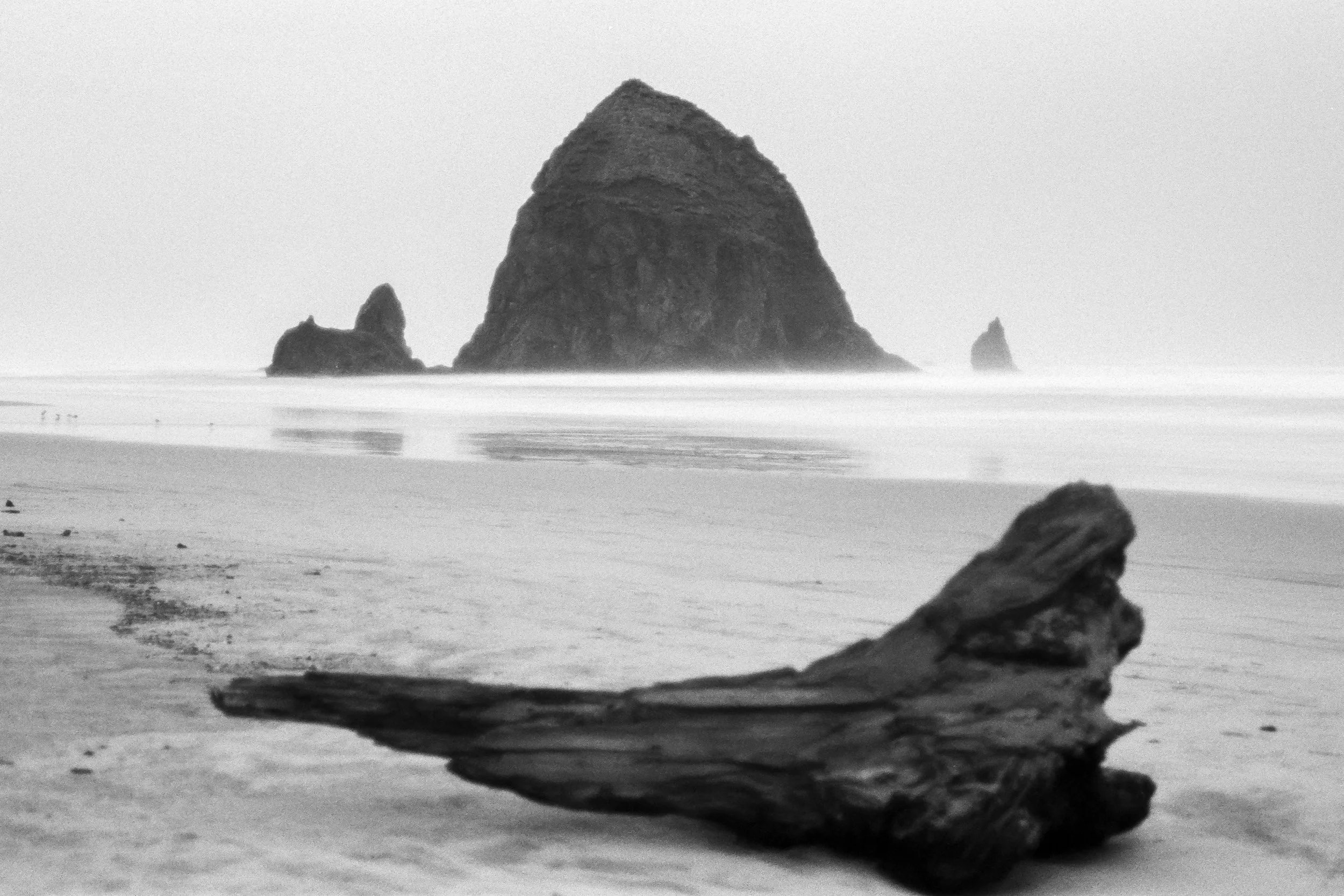 Oregon-2.jpg