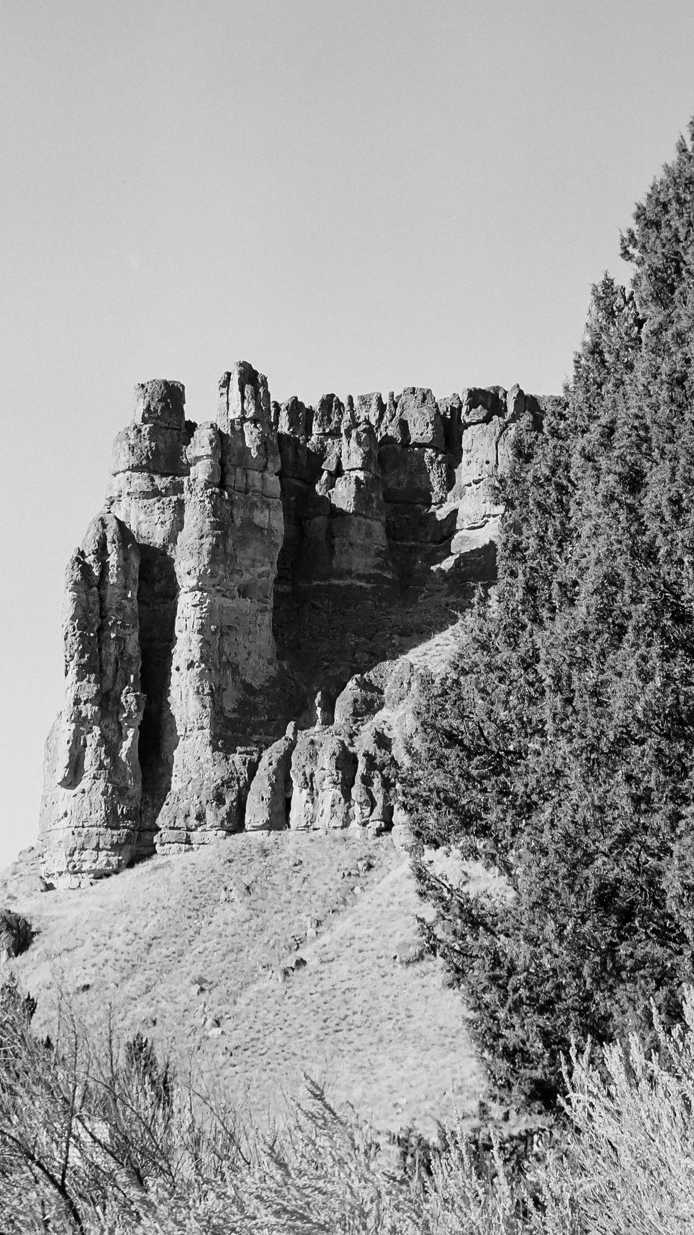 Oregon-6.jpg