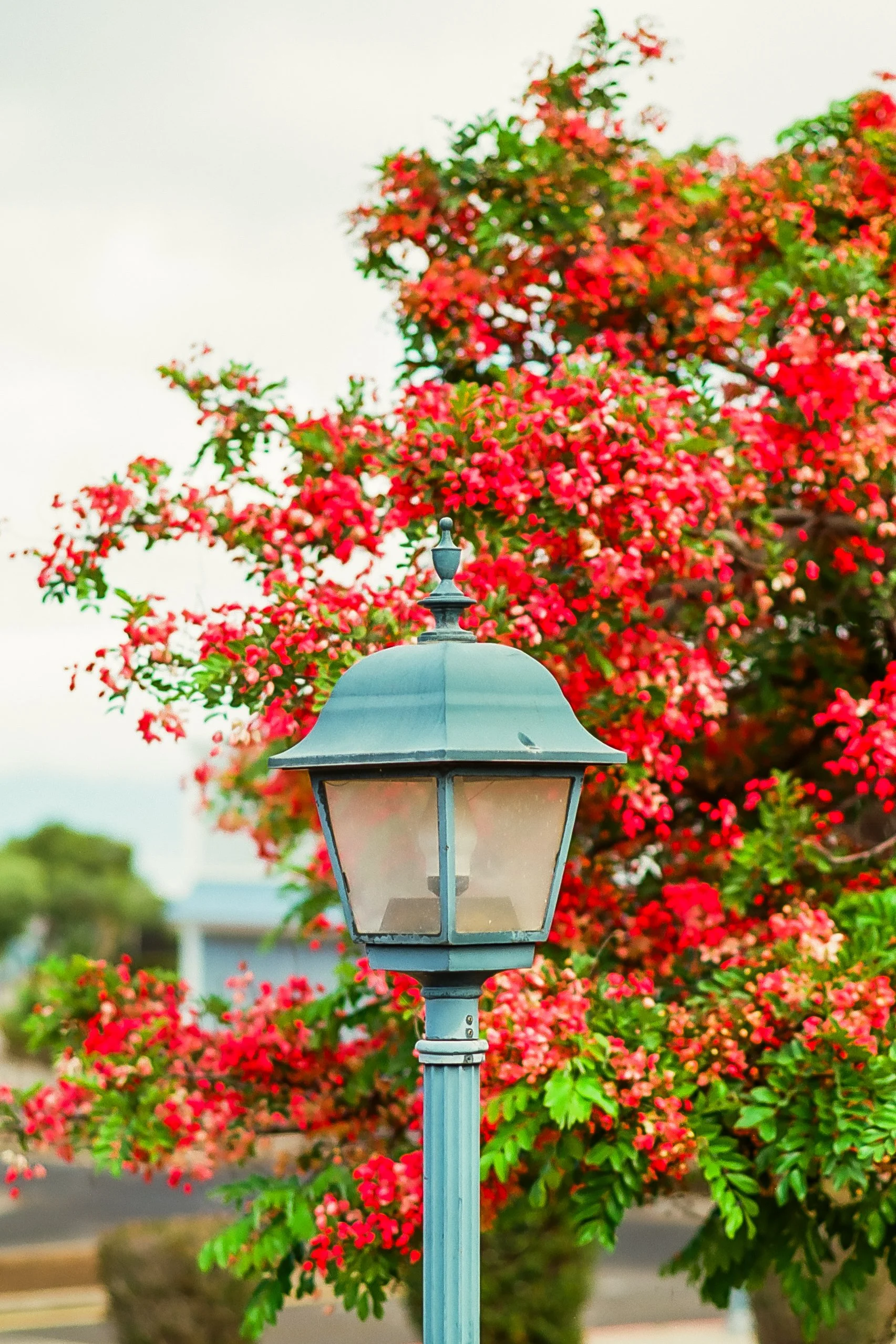 Hawaii-18.jpg