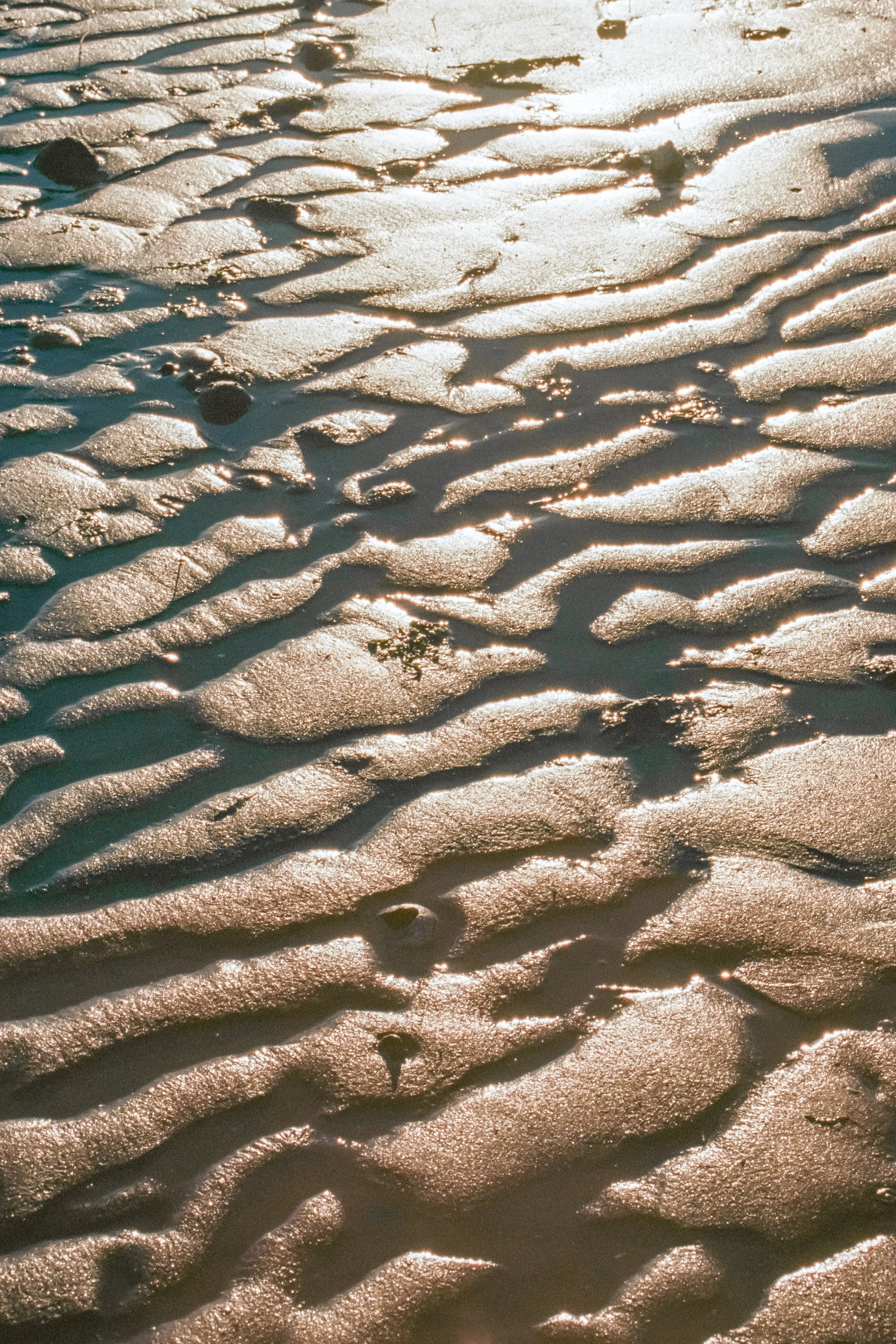 Beach-3.jpg