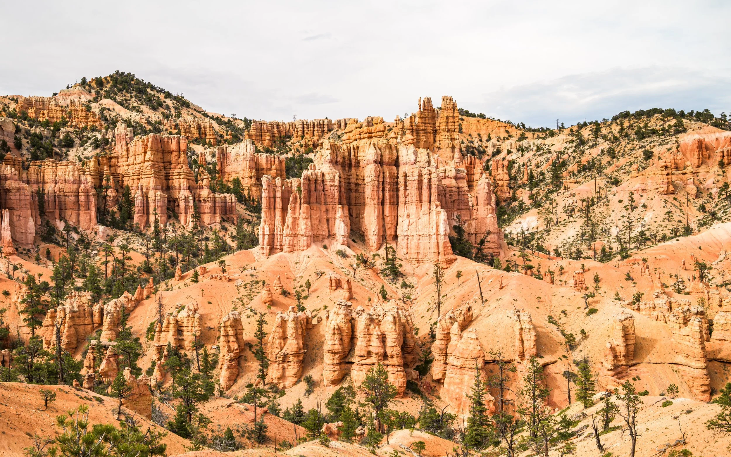 Utah-3.jpg