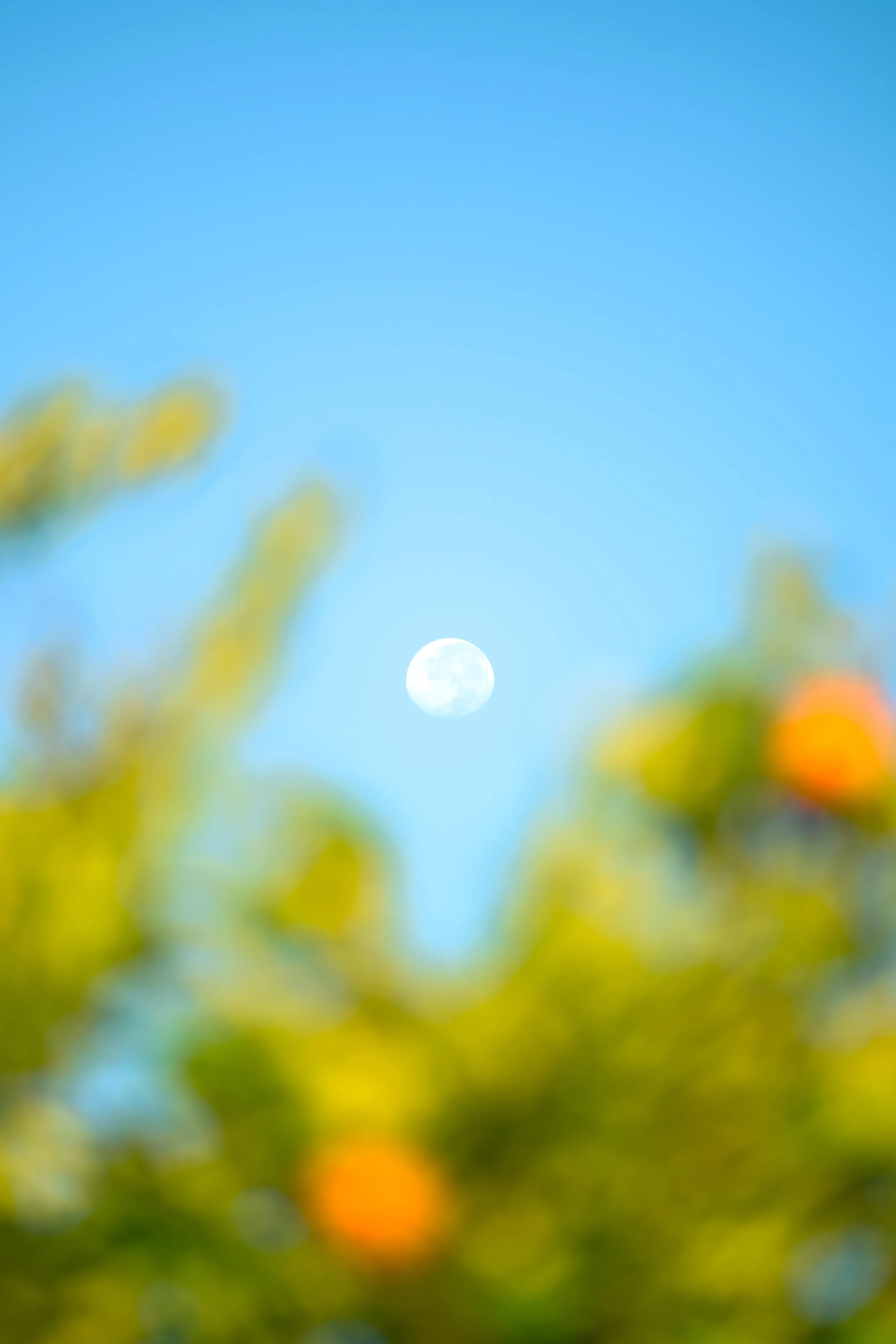 Landscape-12.jpg