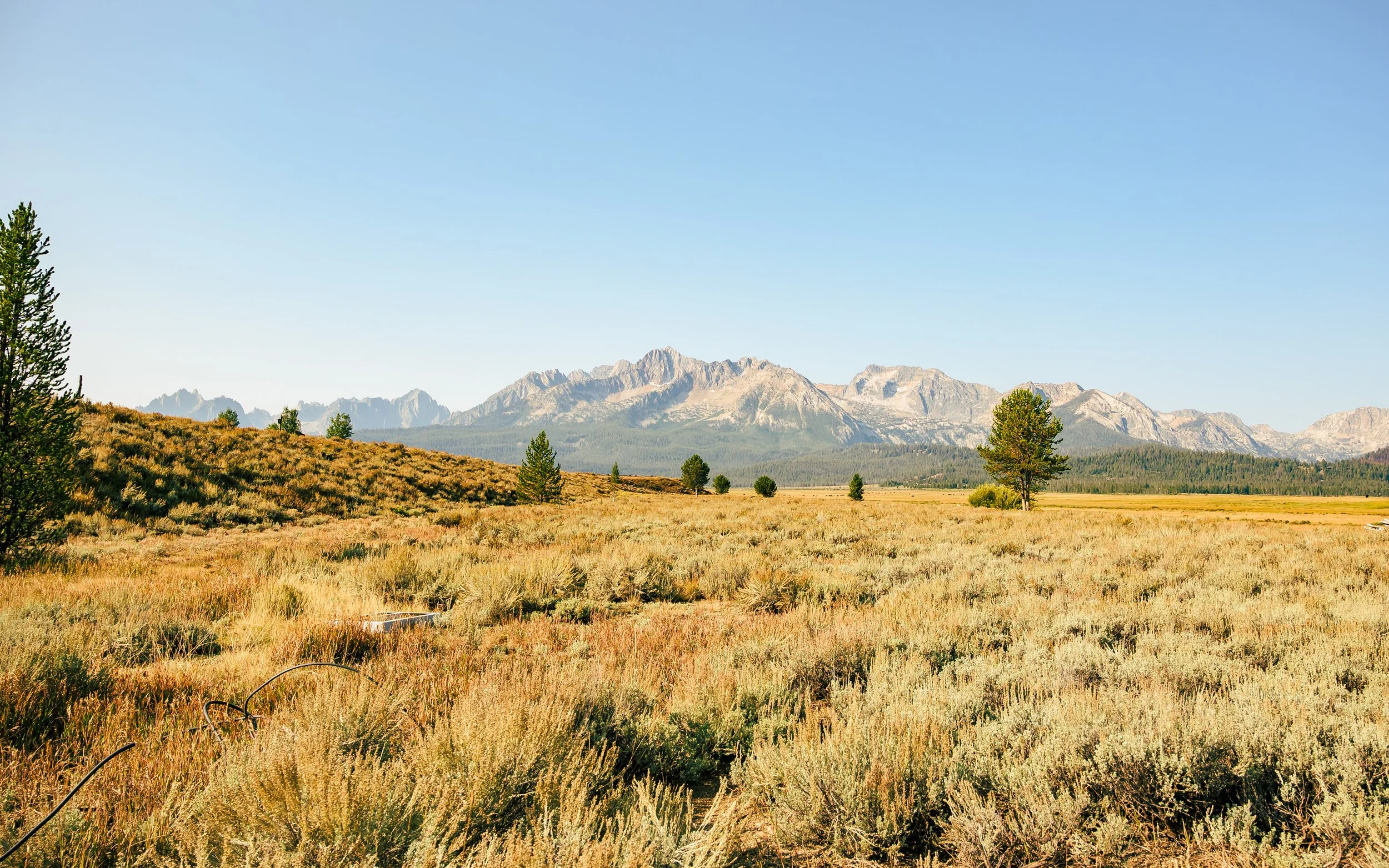 Landscape-13.jpg