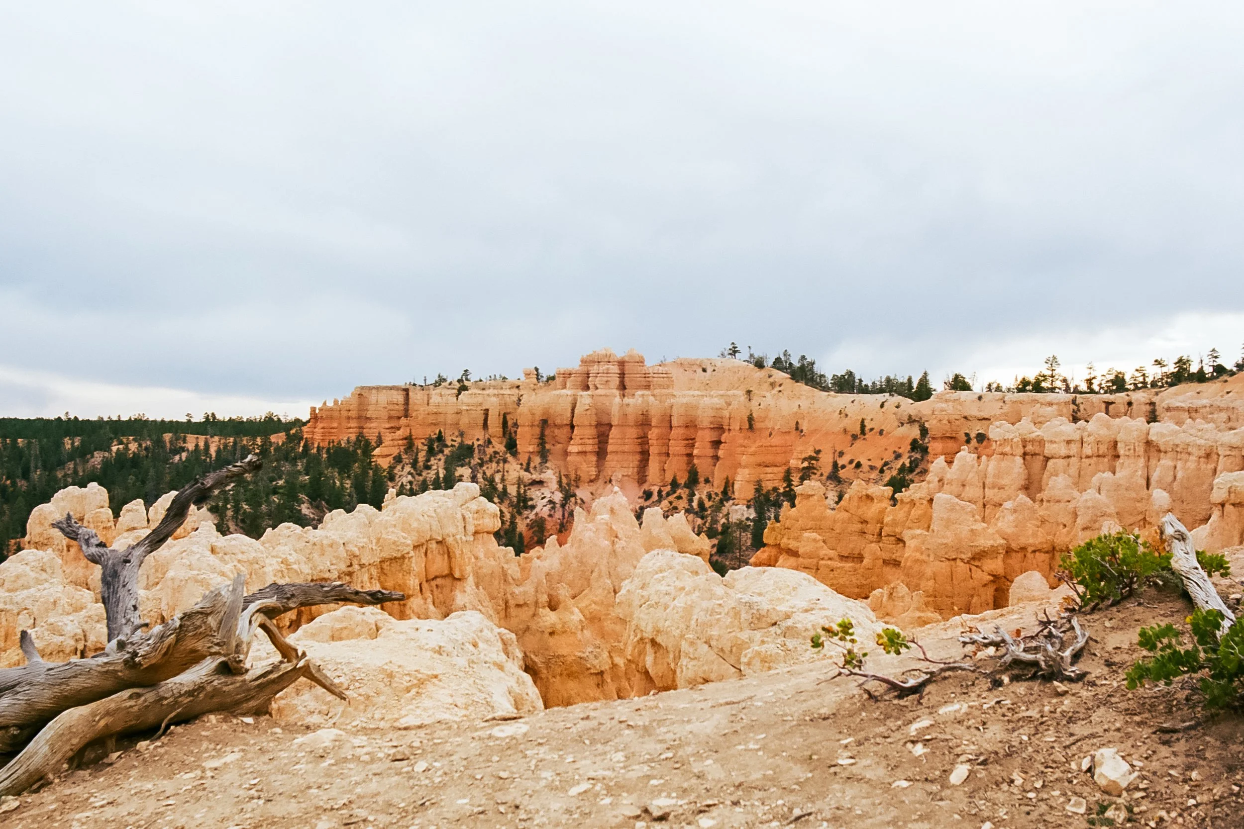 Utah-10.jpg