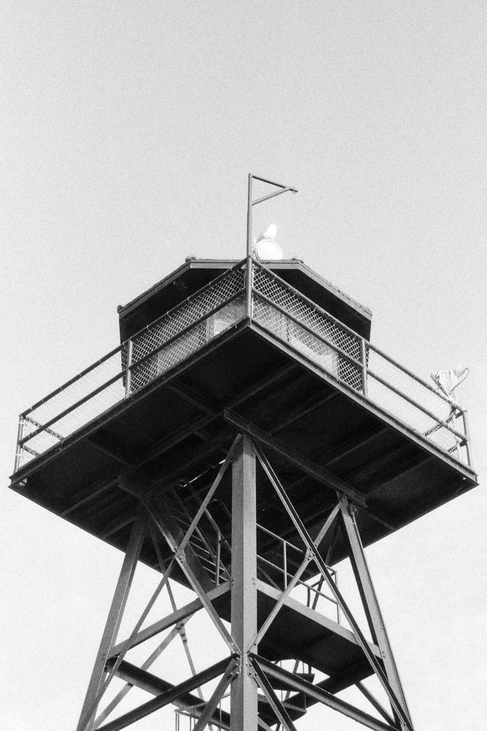 California-6.jpg
