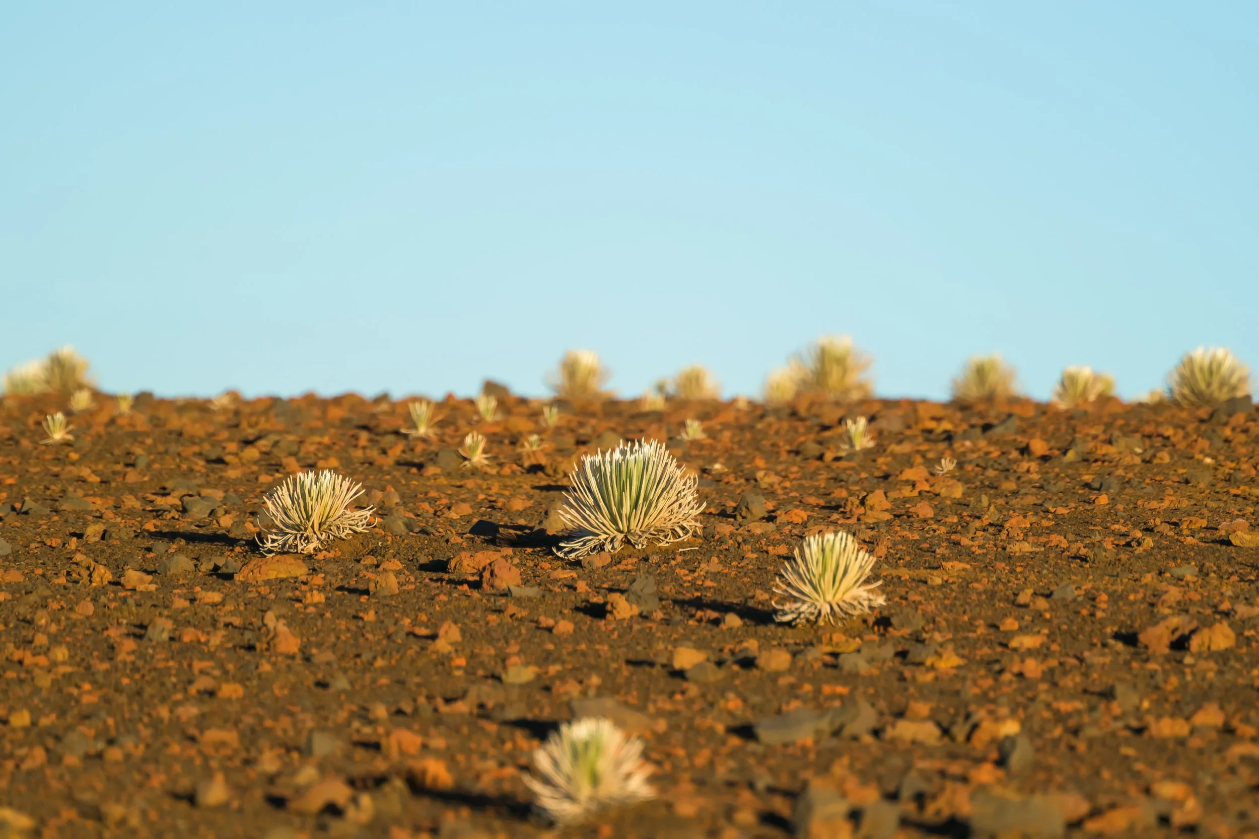 Landscape-10.jpg