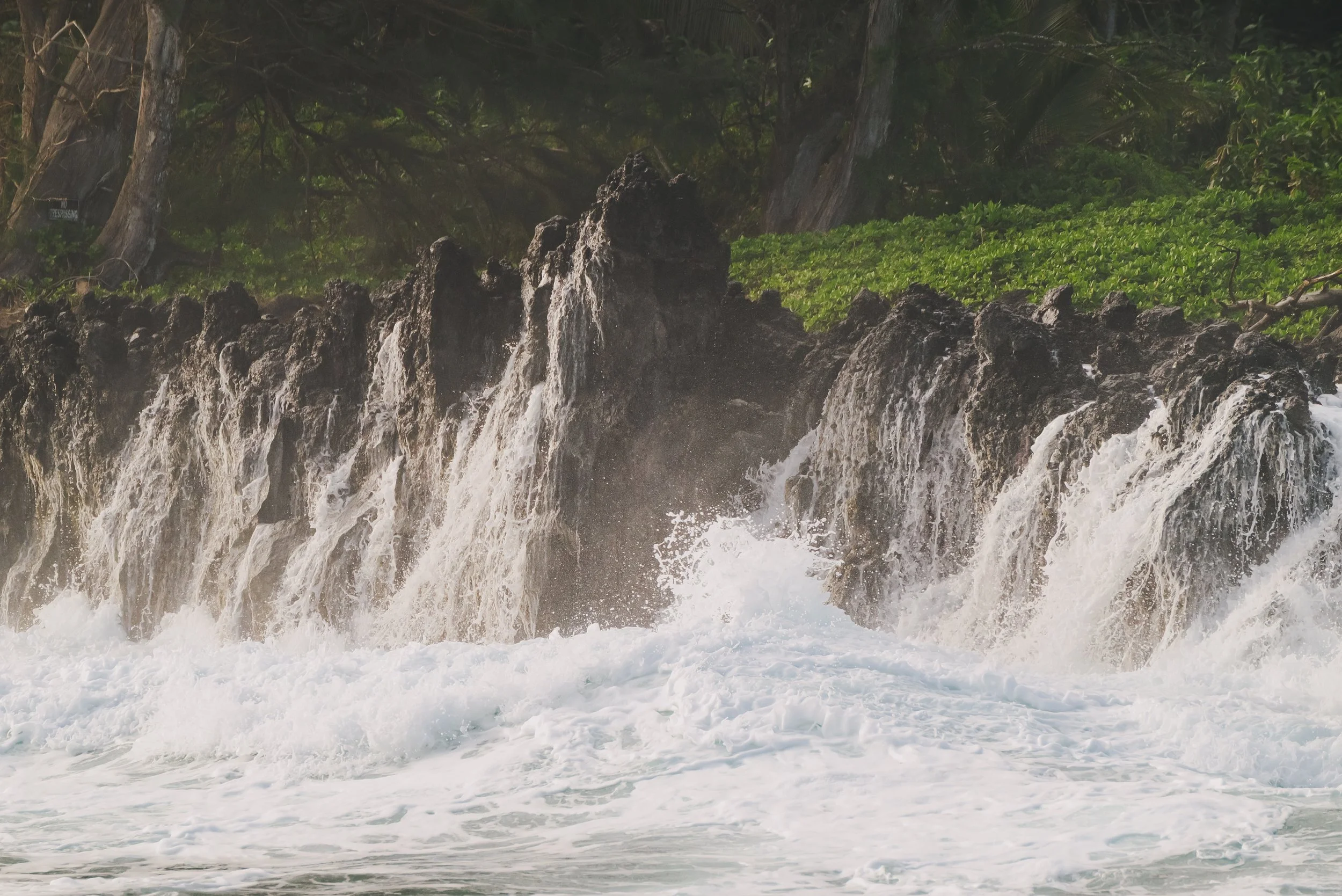 Hawaii-23.jpg