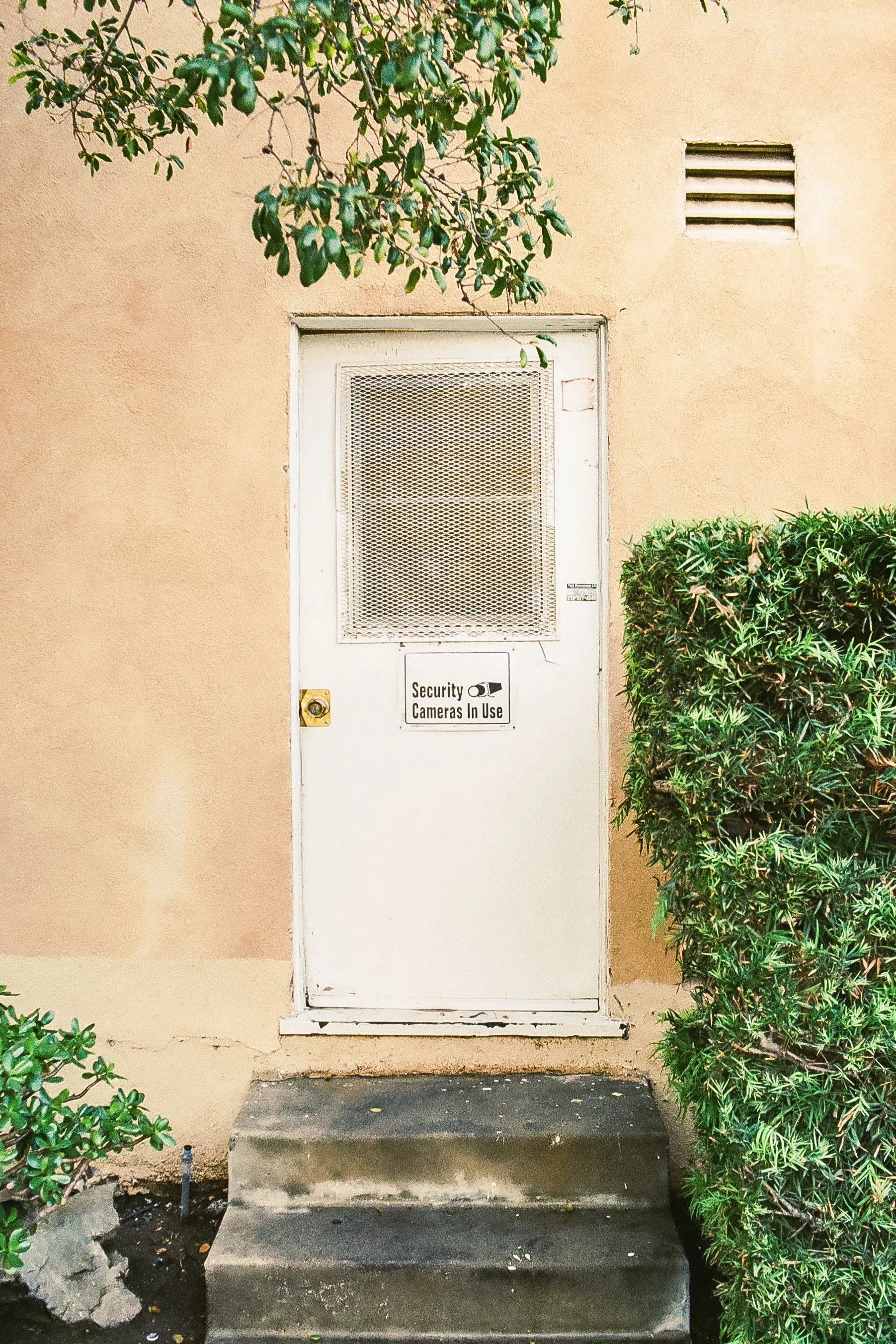 California-31.jpg