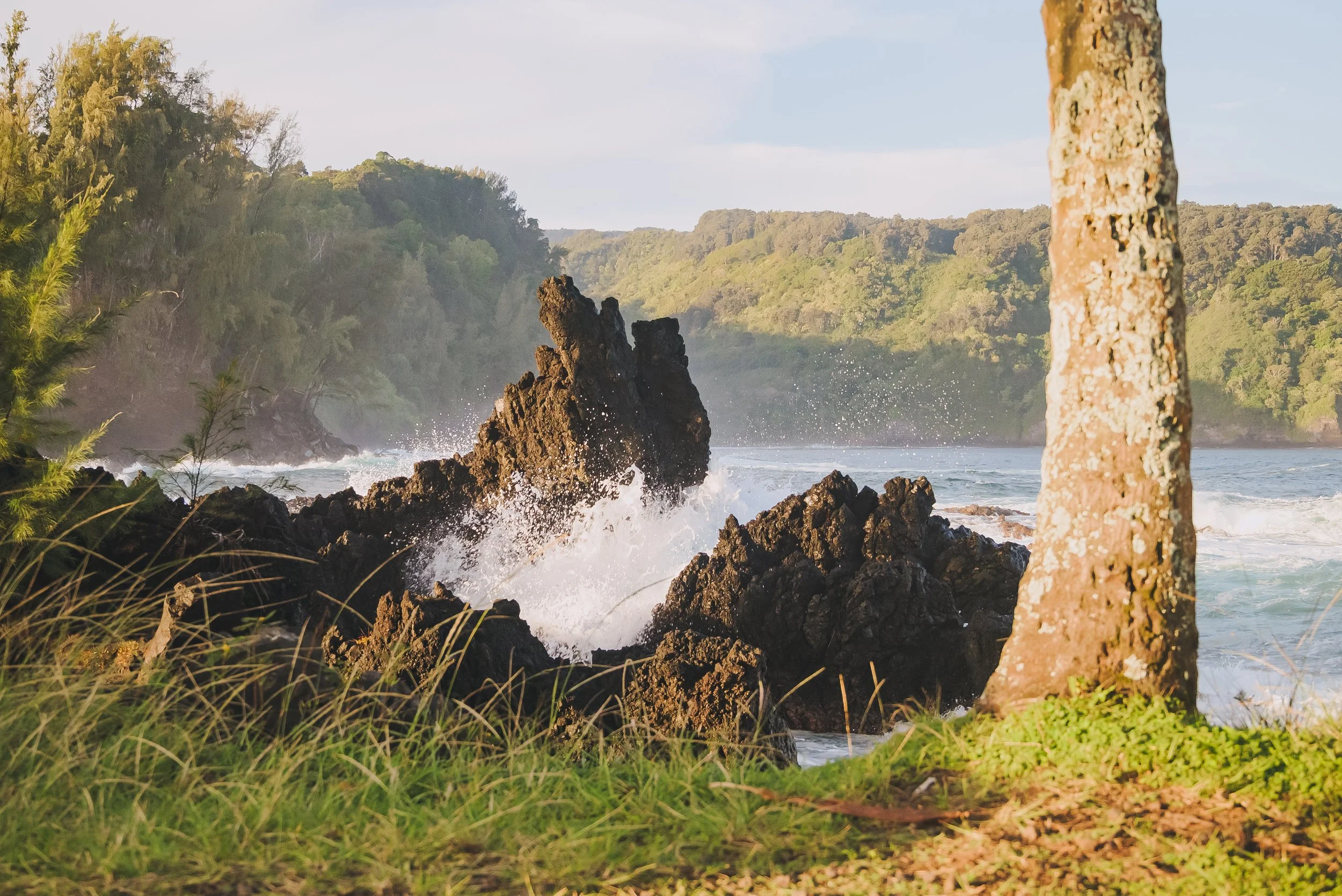 Landscape-15.jpg