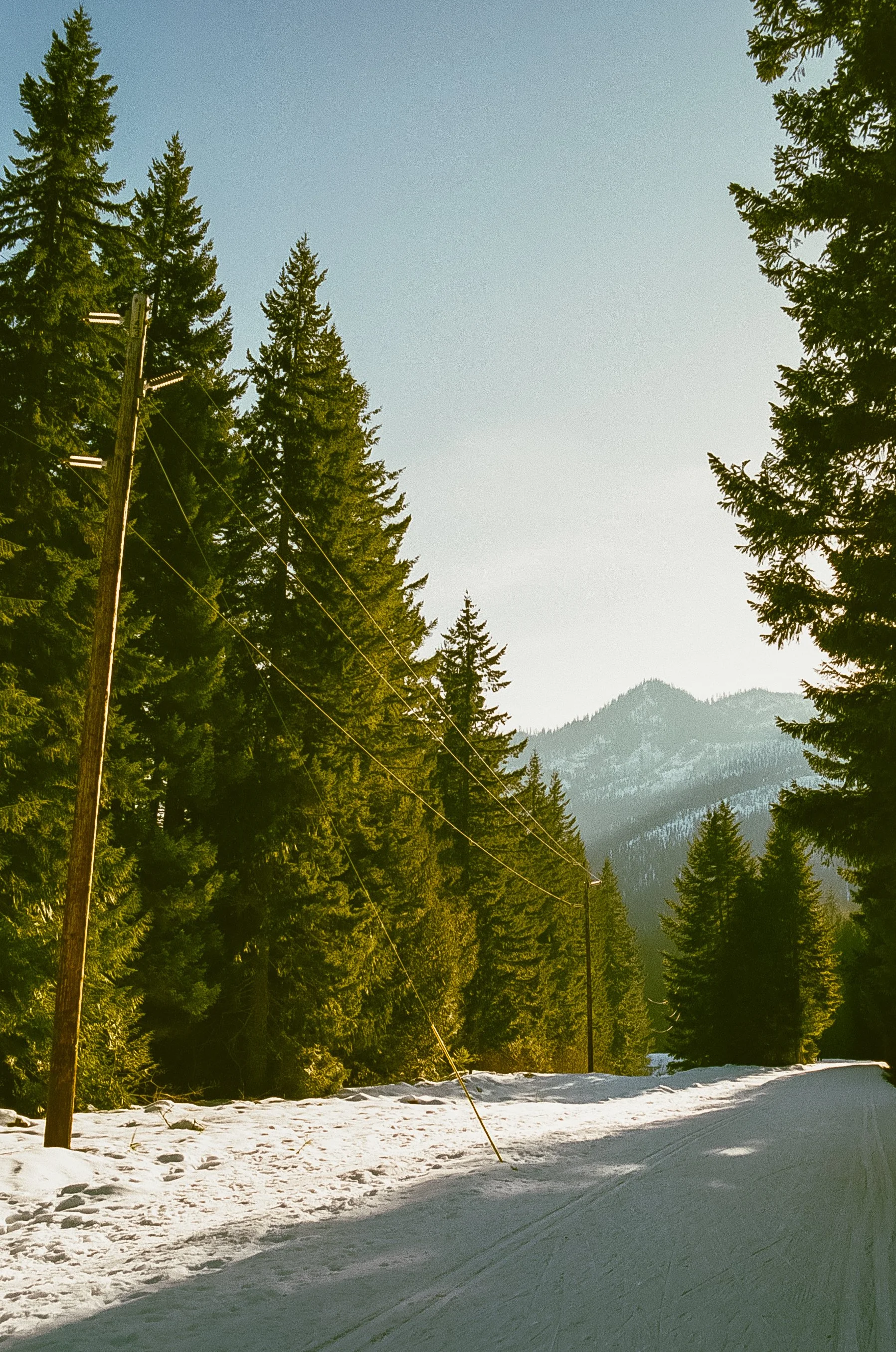 Washington-7.jpg