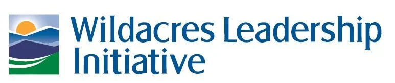 WLI-logo-1.jpg