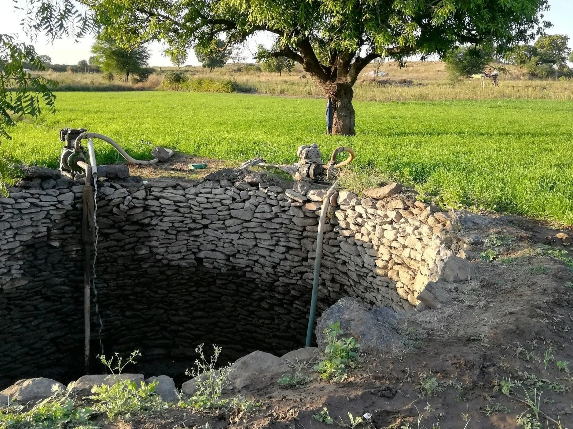 When Love Says, “You Are Mine”: Meeting Christ Jesus Beyond Religion